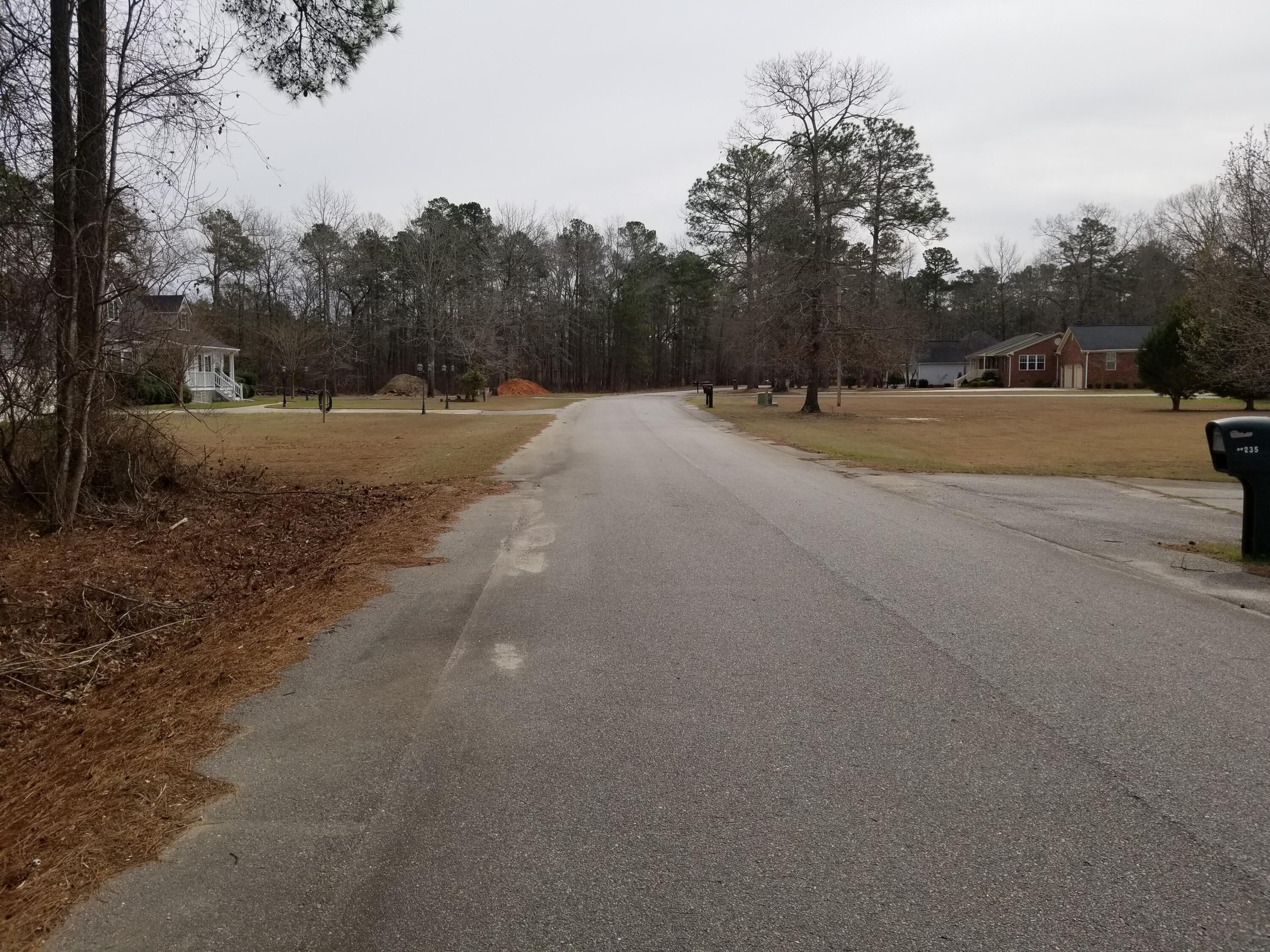 0 Sorin Circle Elloree, SC 29047 - Photo 3 of 6 20240229_114654