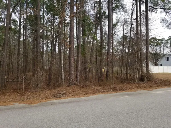$25,000 | 0 Sorin Circle, Elloree, SC 29047