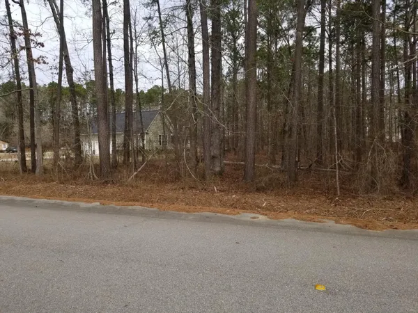 $25,000 | 0 Sorin Circle, Elloree, SC 29047
