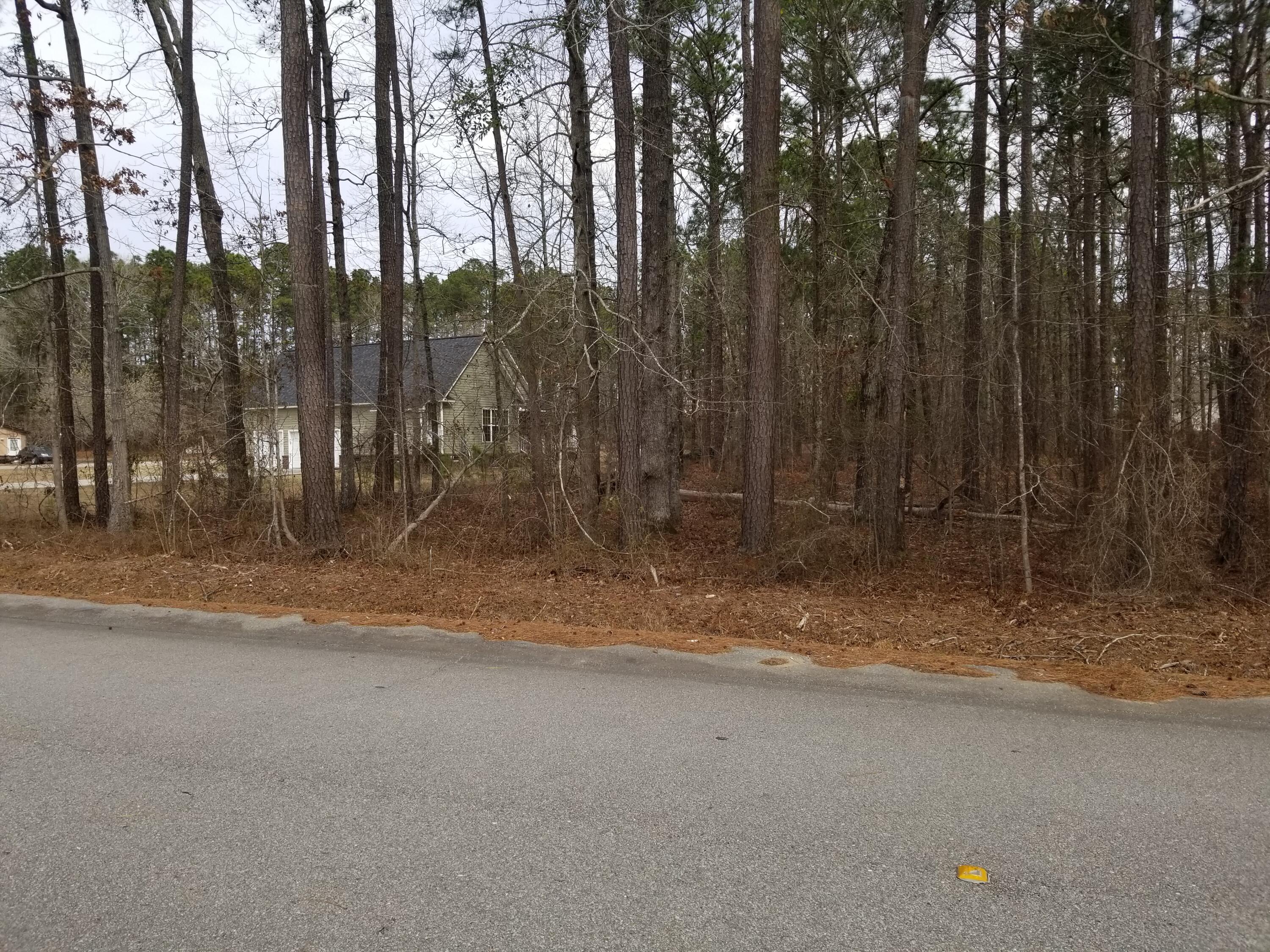 0 Sorin Circle Elloree, SC 29047 - Photo 5 of 6 20240229_114636