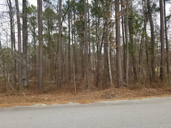 $25,000 | 0 Sorin Circle, Elloree, SC 29047