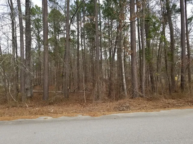 $25,000 | 0 Sorin Circle, Elloree, SC 29047