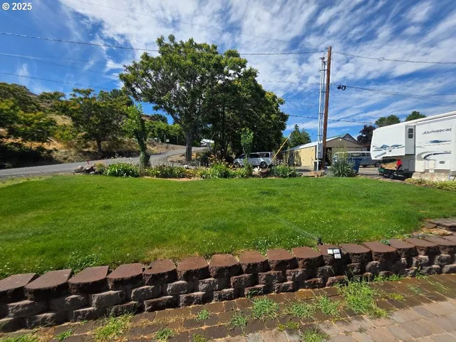 a view of a yard with potted plants