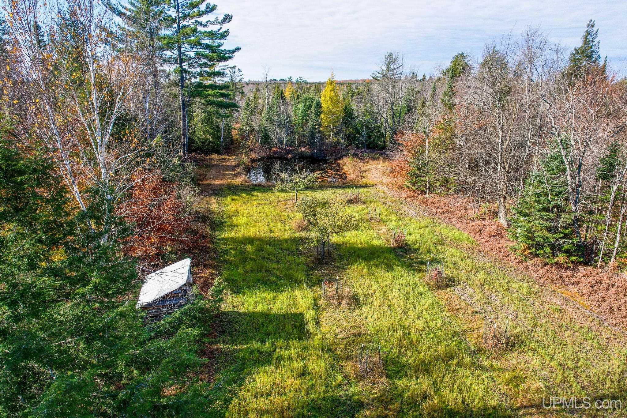 240-acres Long Lake Road Wetmore, MI 49895 - Photo 29 of 39