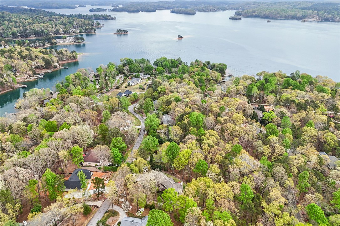 120 Beacon Ridge Circle Salem, SC 29676 - Photo 42 of 48 This elevated view captures the expansive lakefront community nestled among vibrant trees.