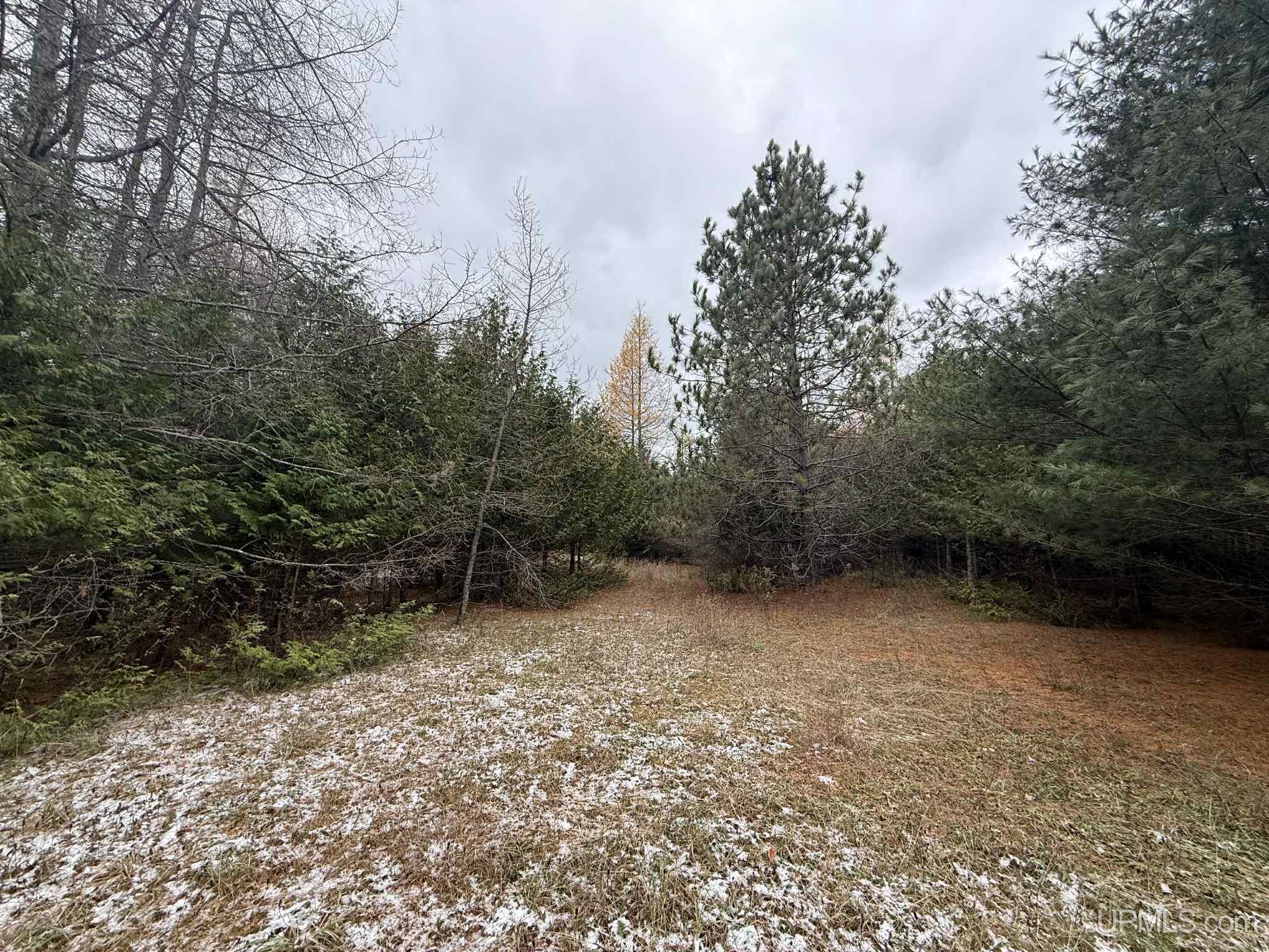 Tbd Tbd Appleford Road Moran, MI 49760 - Photo 3 of 24