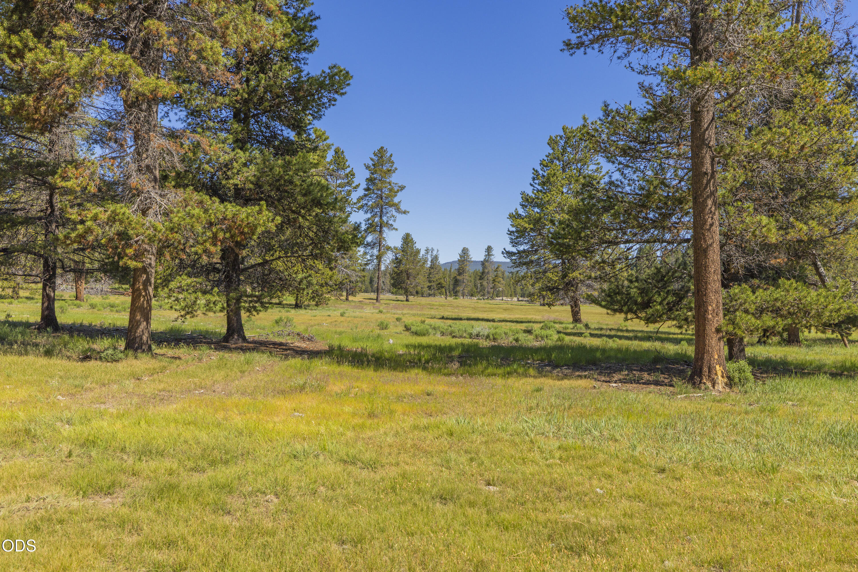 Williamson River Road, Unit 206226 Chiloquin, OR 97624 - Photo 15 of 50
