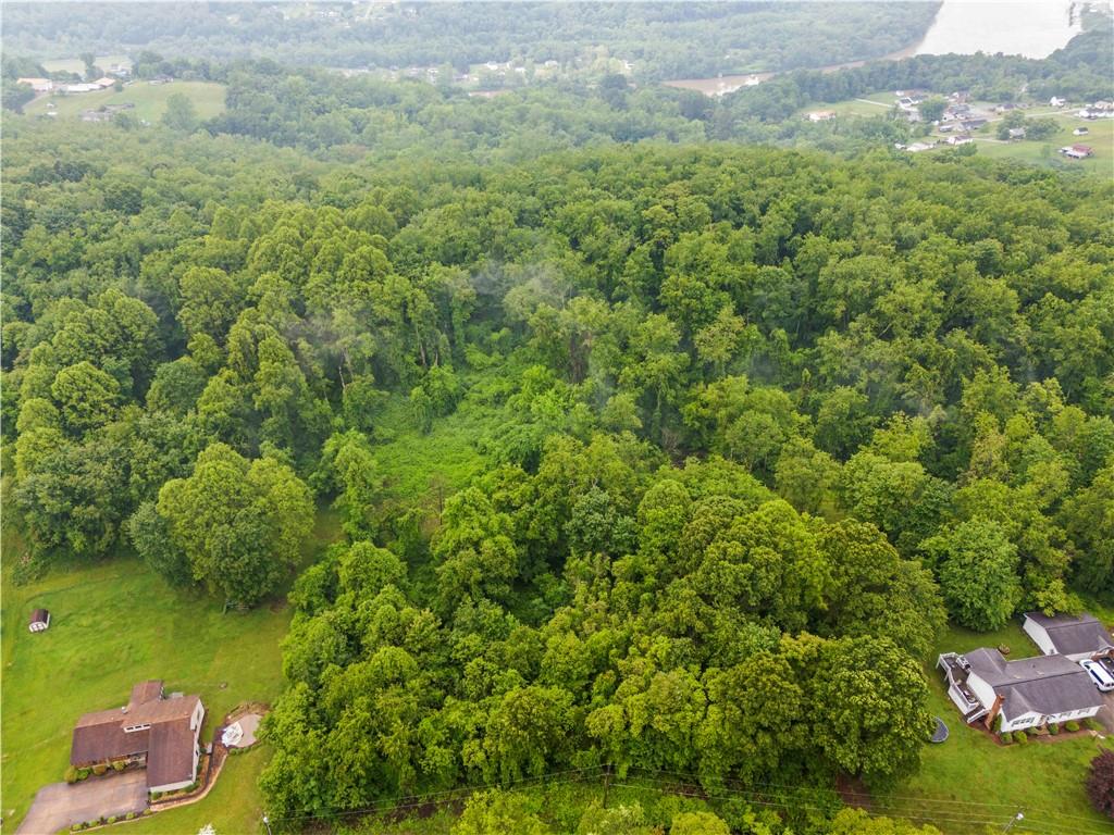 381 Ridge Road Brownsville, PA 15417 - Photo 1 of 6 a view of a garden