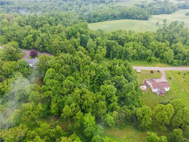 an aerial view of residential houses with outdoor space and trees