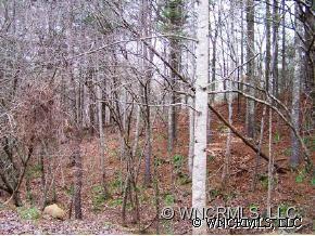0 Kennedy Road Weaverville, NC 28787 - Photo 3 of 5 Gallery Image 3