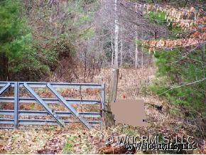 0 Kennedy Road Weaverville, NC 28787 - Photo 5 of 5 Gallery Image 5