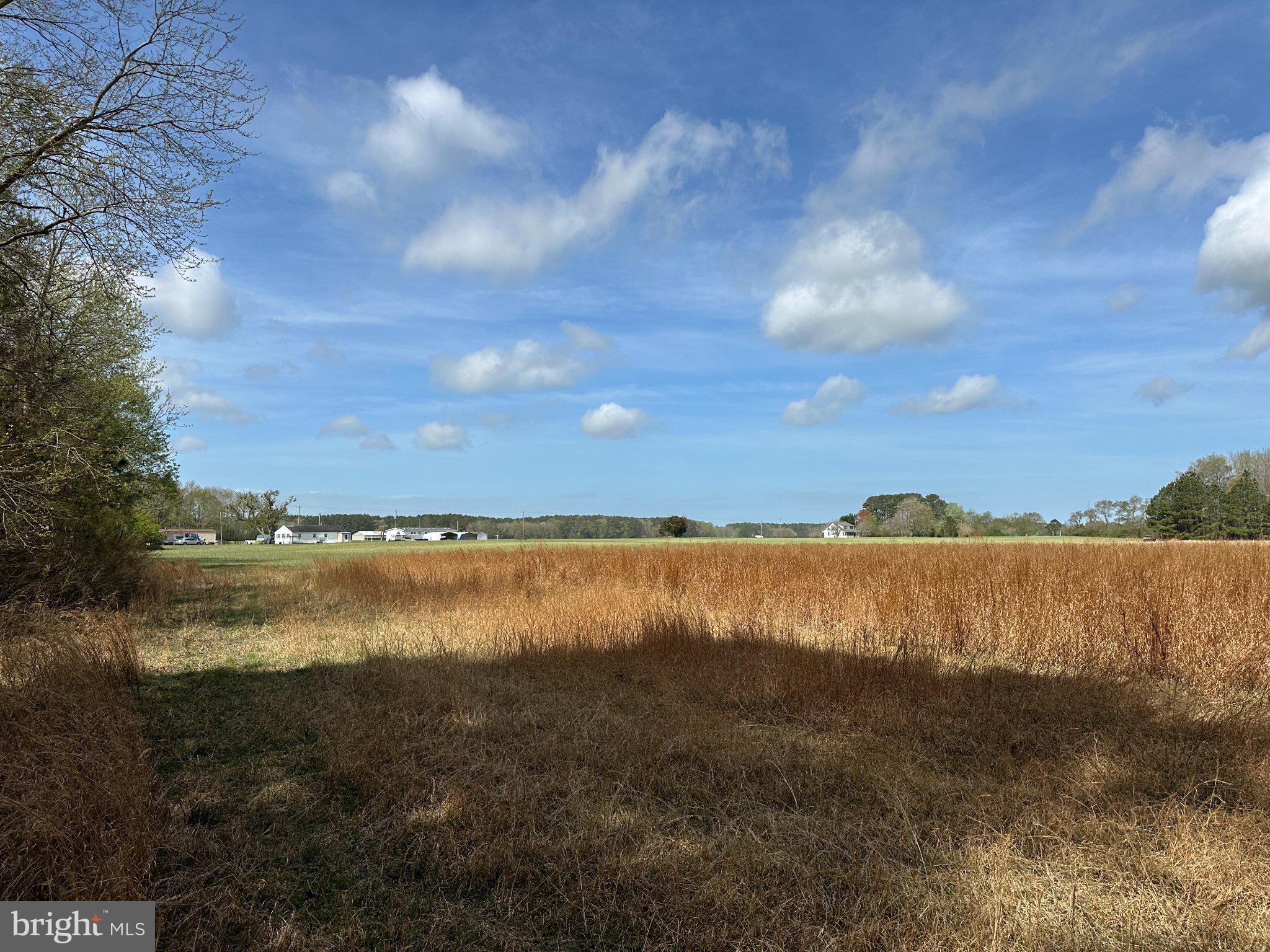 31379 Boggs Road Painter, VA 23420 - Photo 19 of 45 Expansive fields under a blue sky.