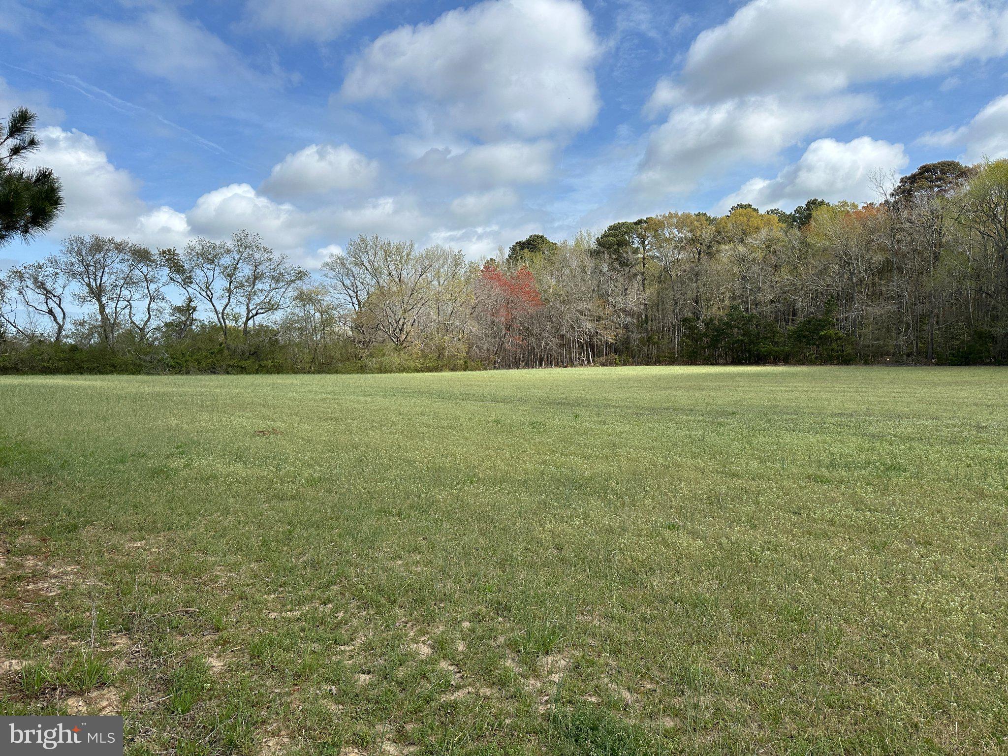 31379 Boggs Road Painter, VA 23420 - Photo 2 of 45 Vast green field under a cloudy sky.