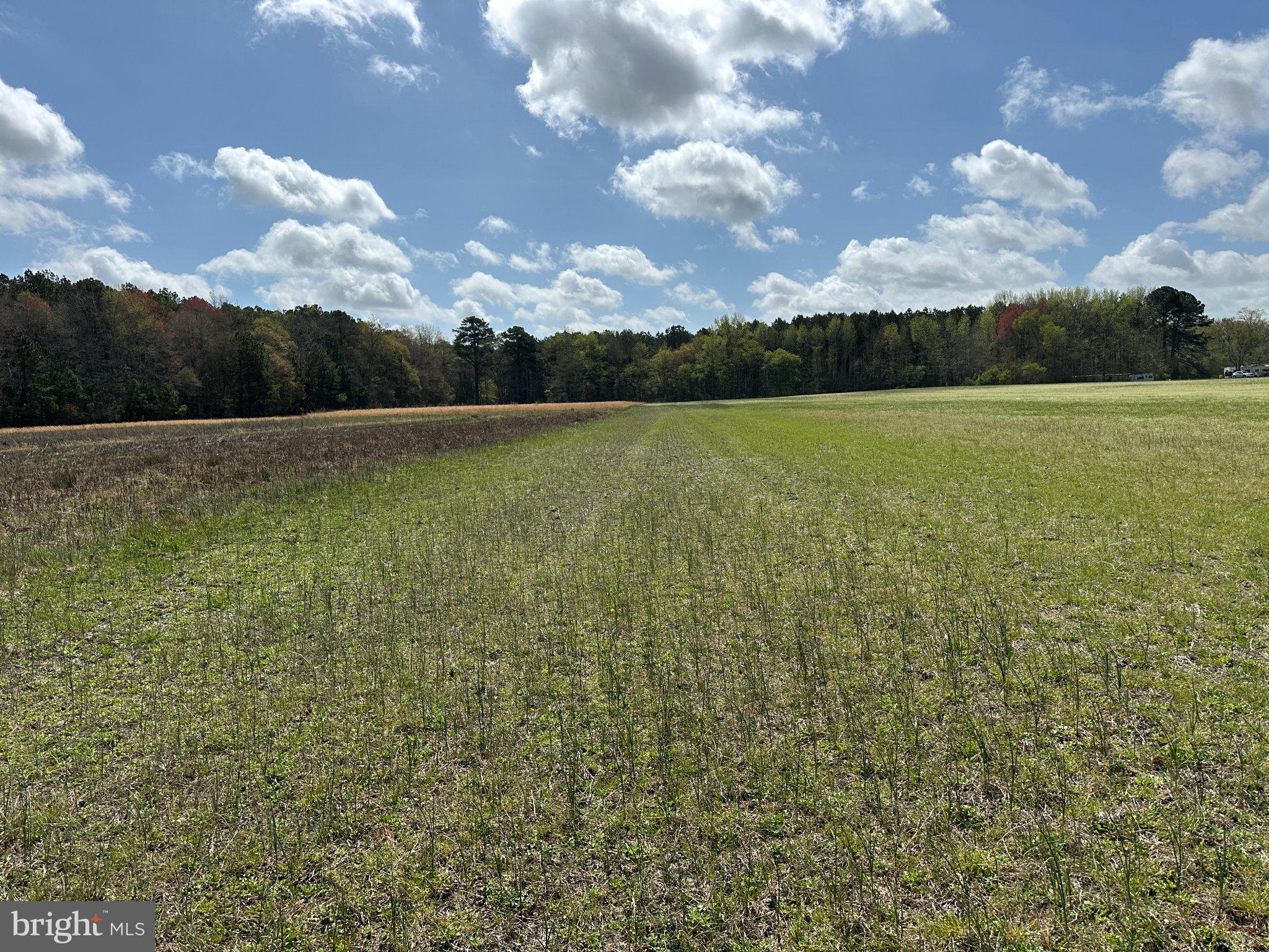 31379 Boggs Road Painter, VA 23420 - Photo 27 of 45 Vibrant fields under a bright sky.