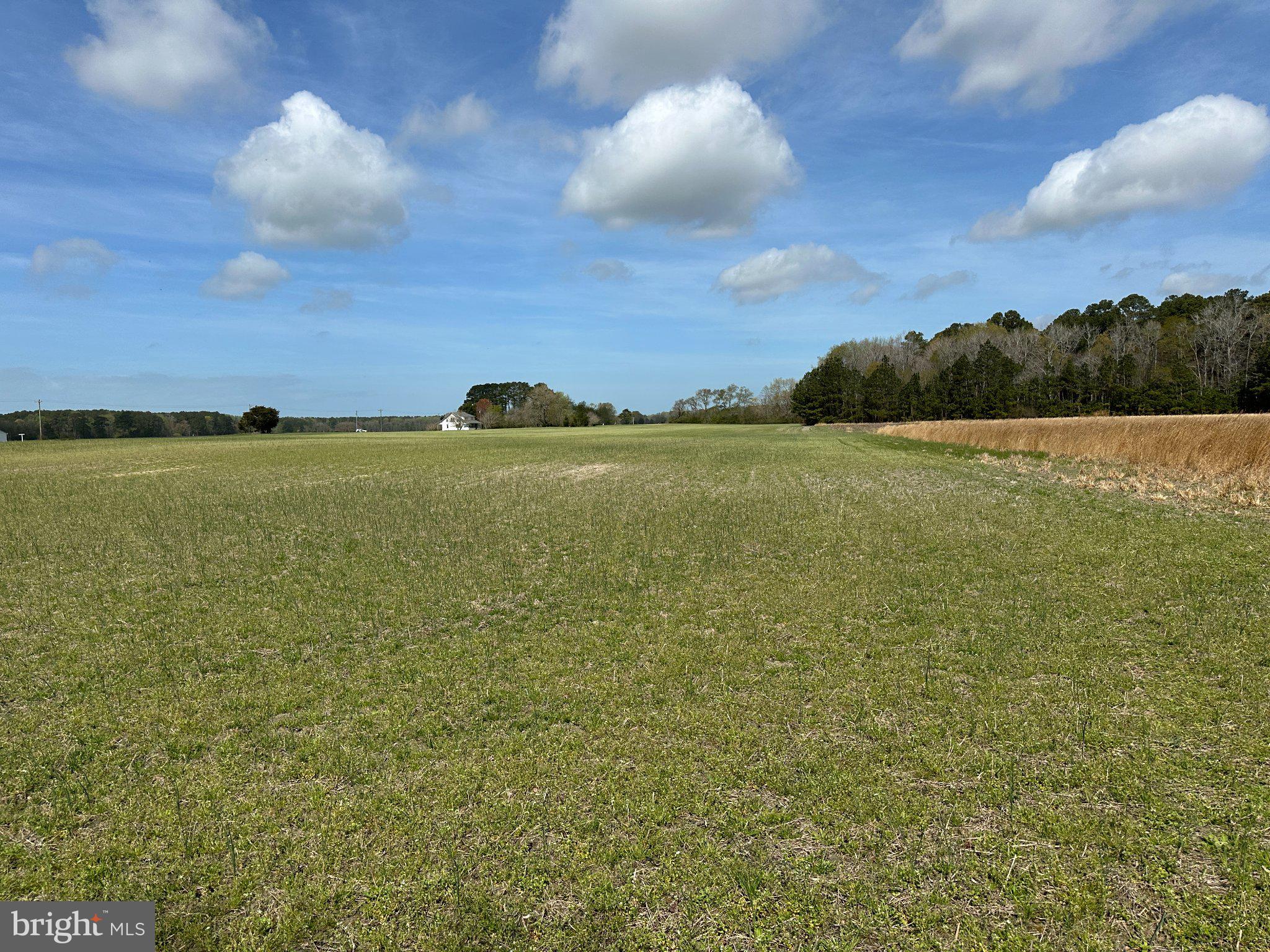 31379 Boggs Road Painter, VA 23420 - Photo 29 of 45 Expansive fields under blue skies.