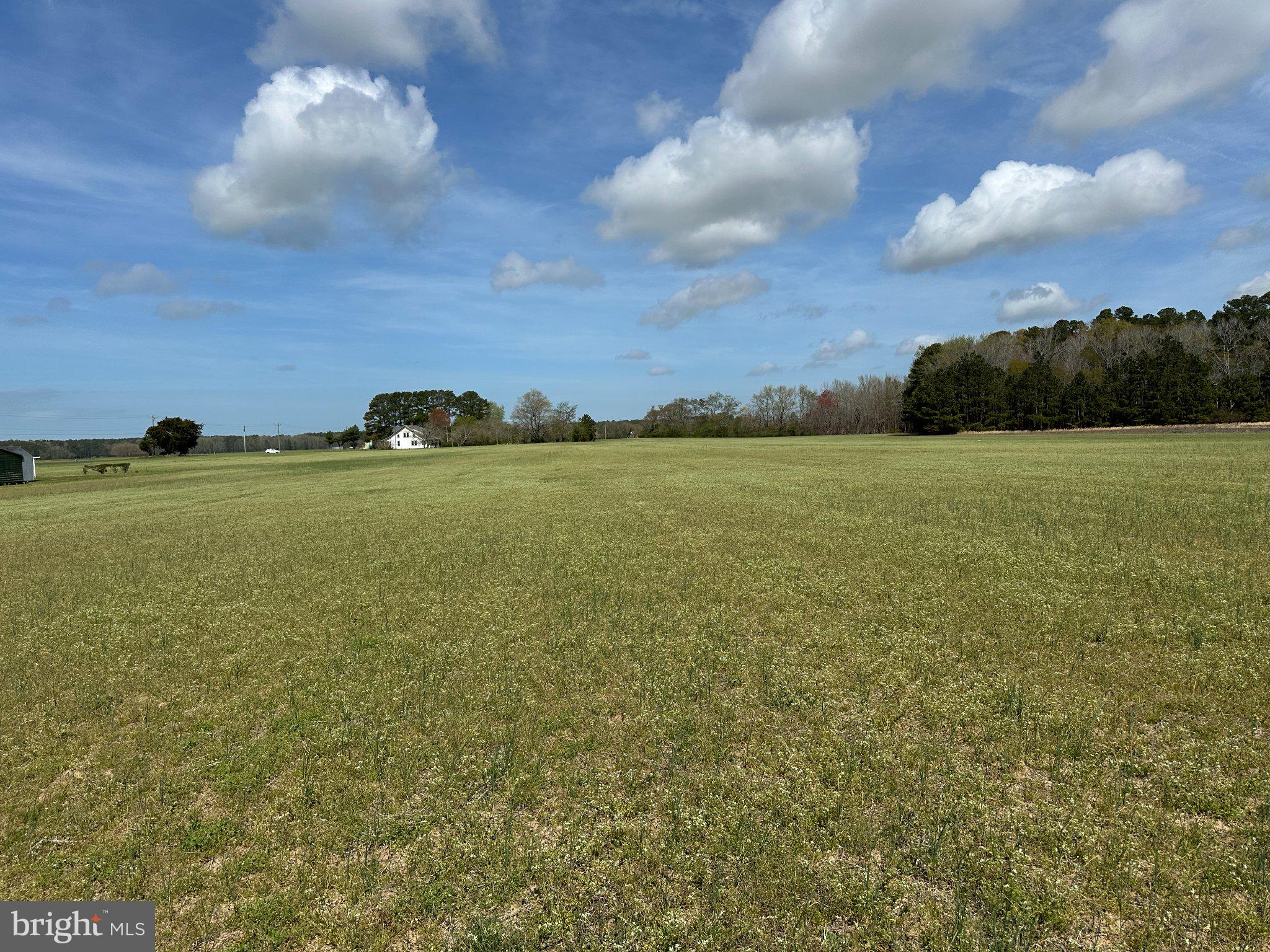 31379 Boggs Road Painter, VA 23420 - Photo 30 of 45 Expansive green fields under blue skies.