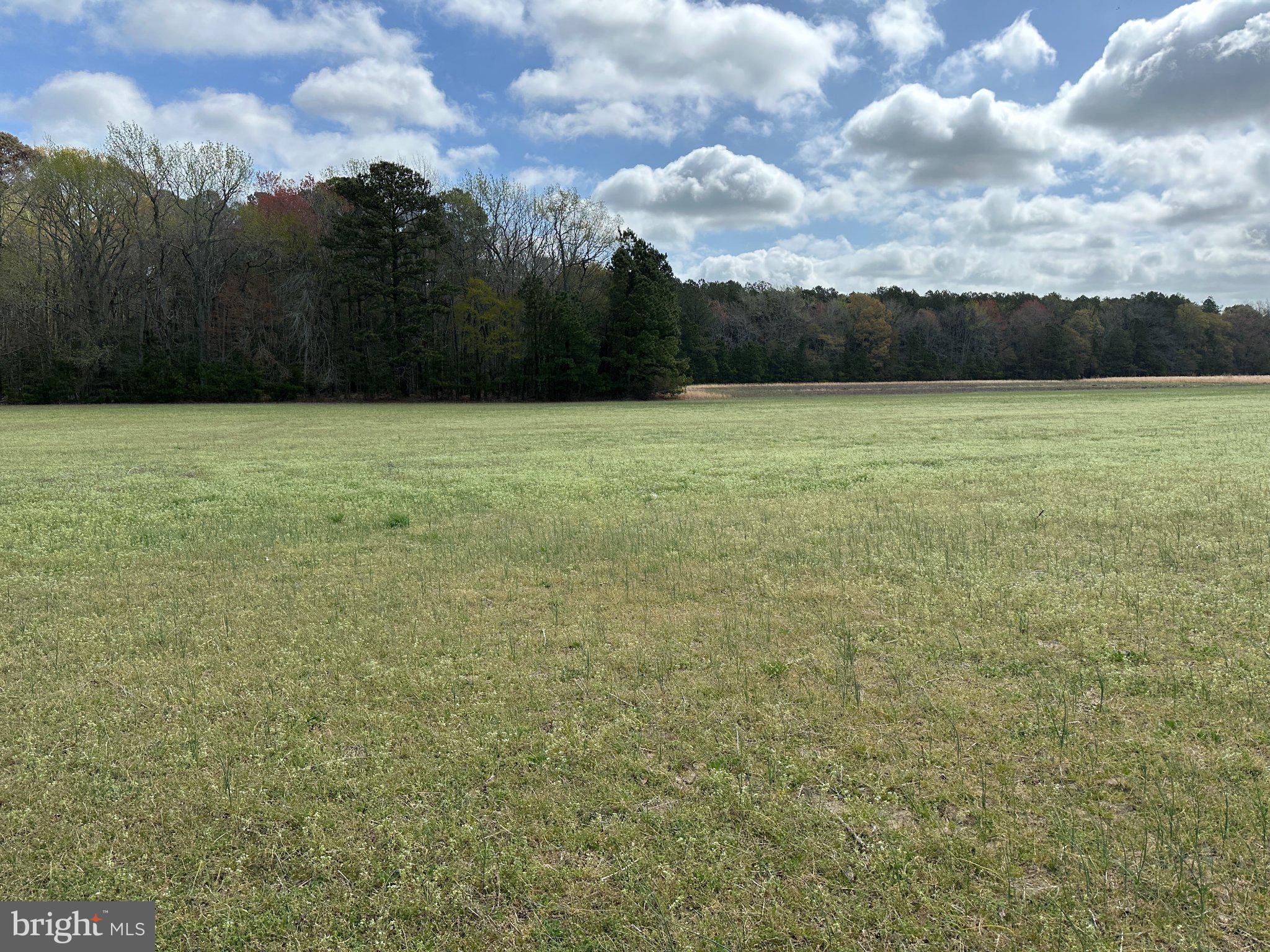 31379 Boggs Road Painter, VA 23420 - Photo 3 of 45 Expansive meadow under cloudy skies.
