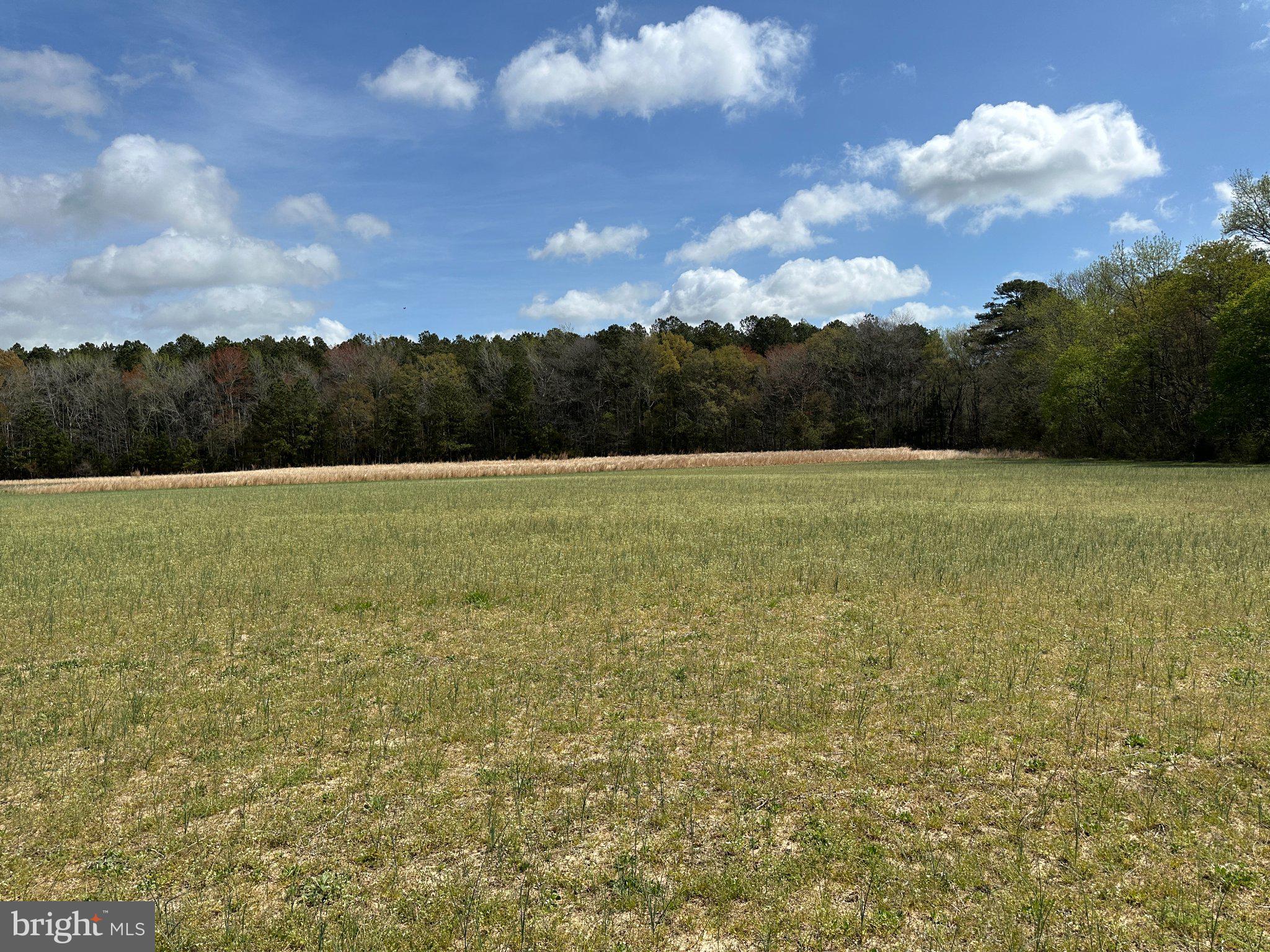 31379 Boggs Road Painter, VA 23420 - Photo 32 of 45 Expansive field under a blue sky.