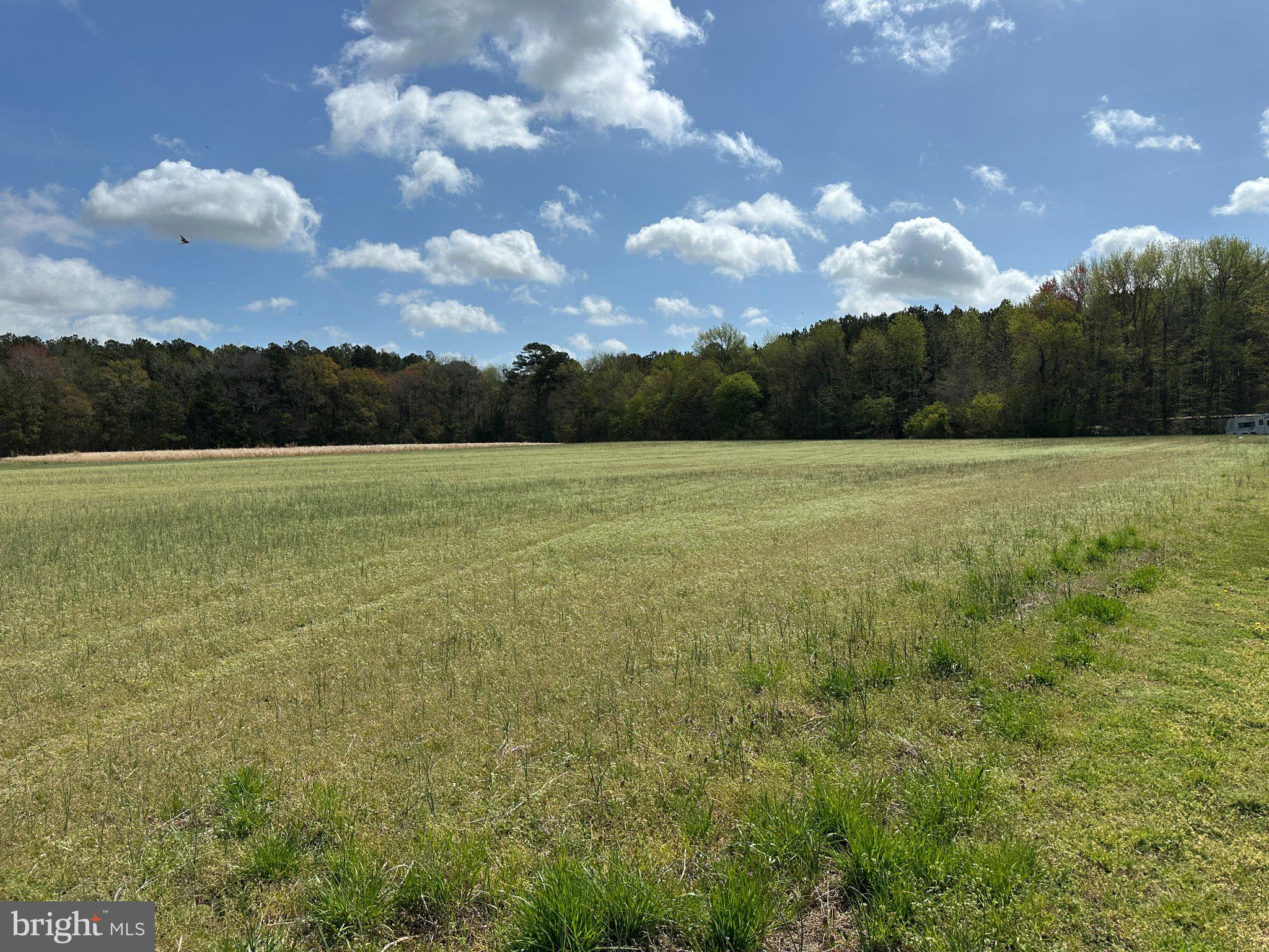 31379 Boggs Road Painter, VA 23420 - Photo 33 of 45 Expansive meadow under blue skies.