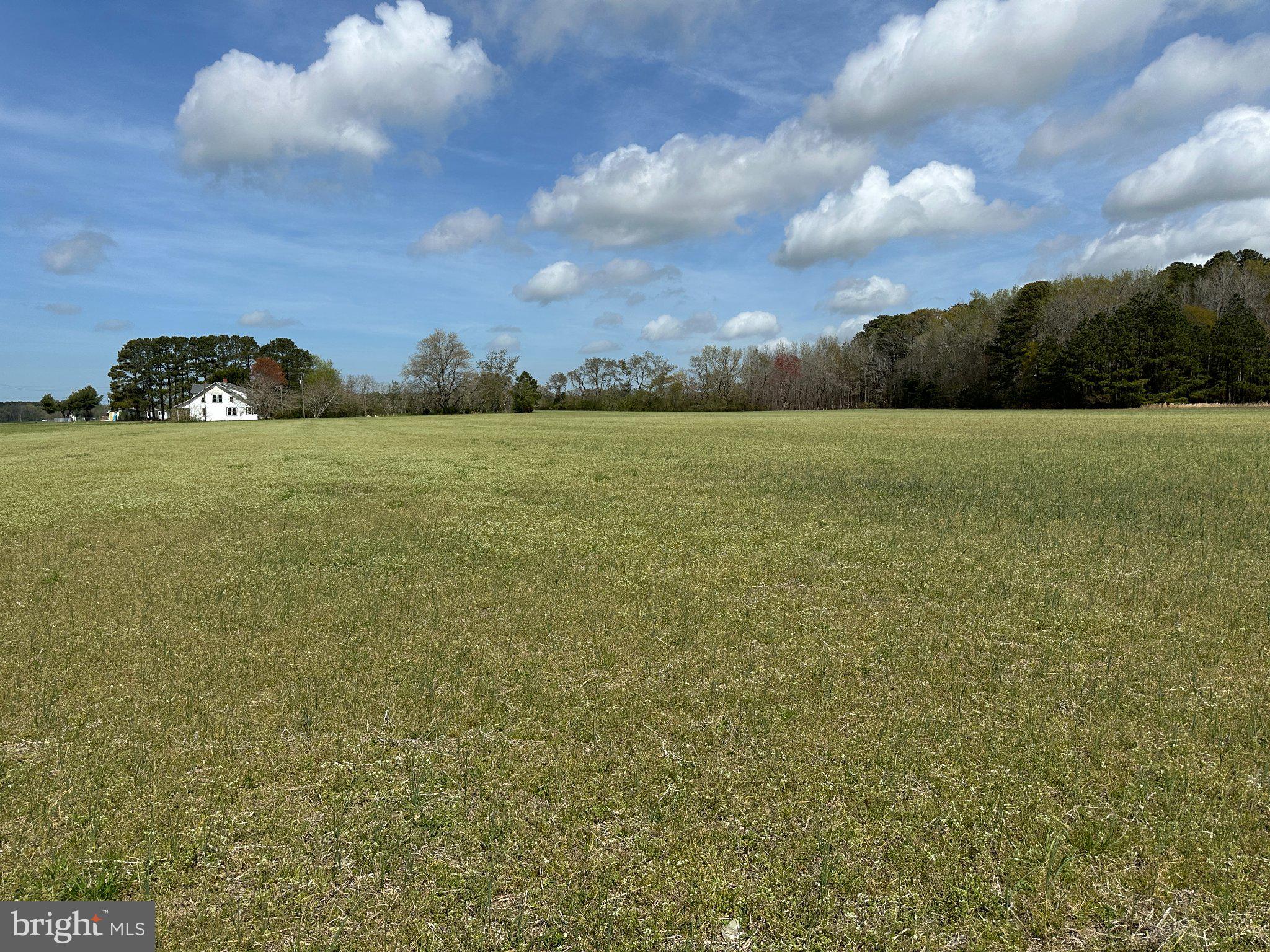 31379 Boggs Road Painter, VA 23420 - Photo 35 of 45 Expansive fields under a blue sky.