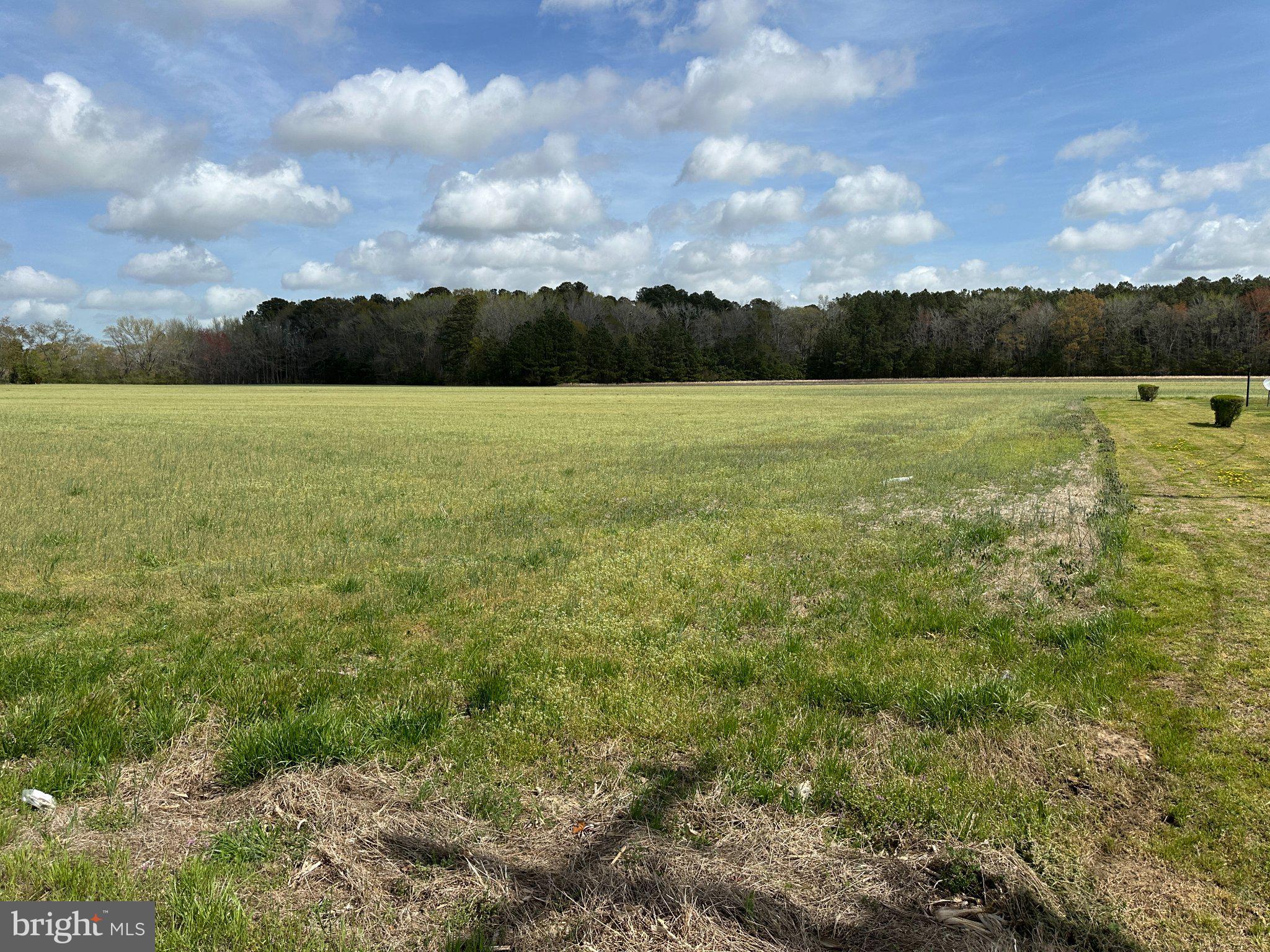 31379 Boggs Road Painter, VA 23420 - Photo 36 of 45 Vast green fields under a blue sky.