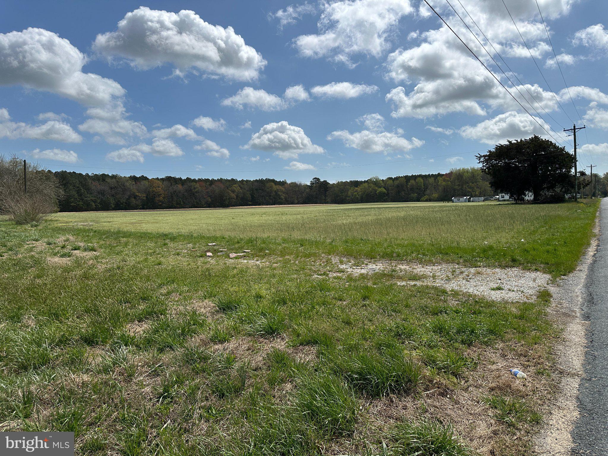 31379 Boggs Road Painter, VA 23420 - Photo 37 of 45 Expansive green field under blue skies.