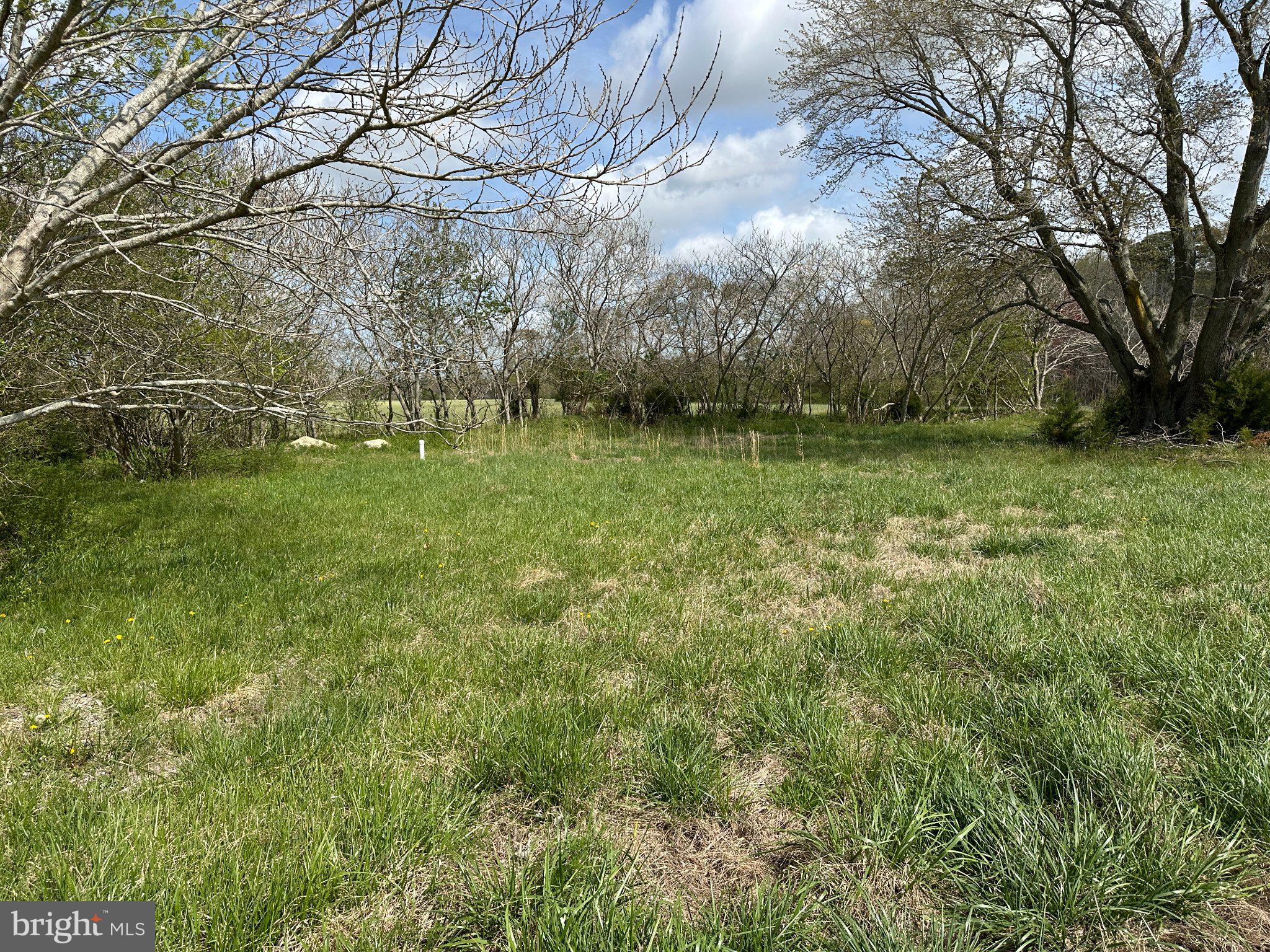 31379 Boggs Road Painter, VA 23420 - Photo 38 of 45 Serene green space under blue skies.