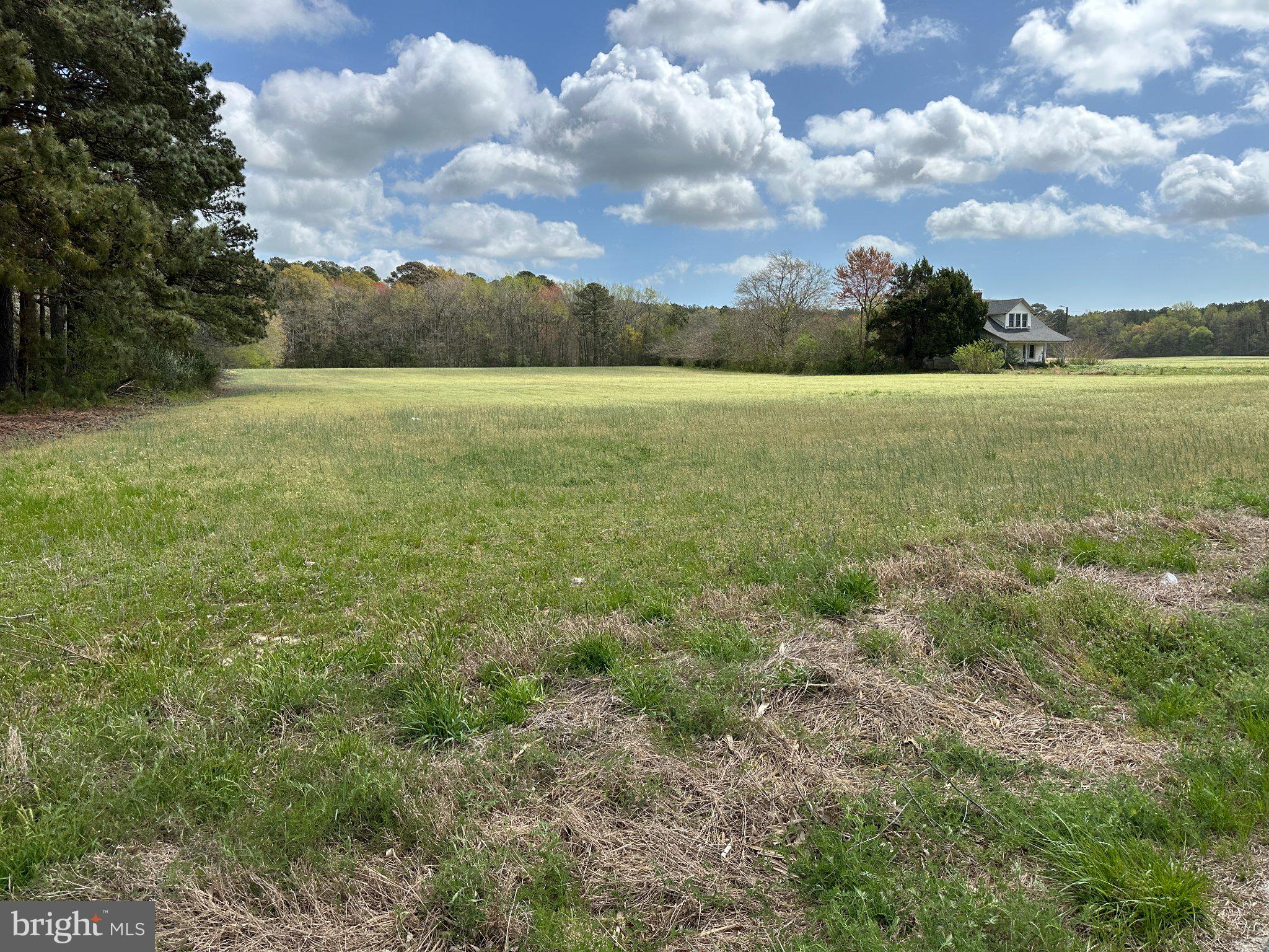 31379 Boggs Road Painter, VA 23420 - Photo 40 of 45 Expansive green fields under blue skies.