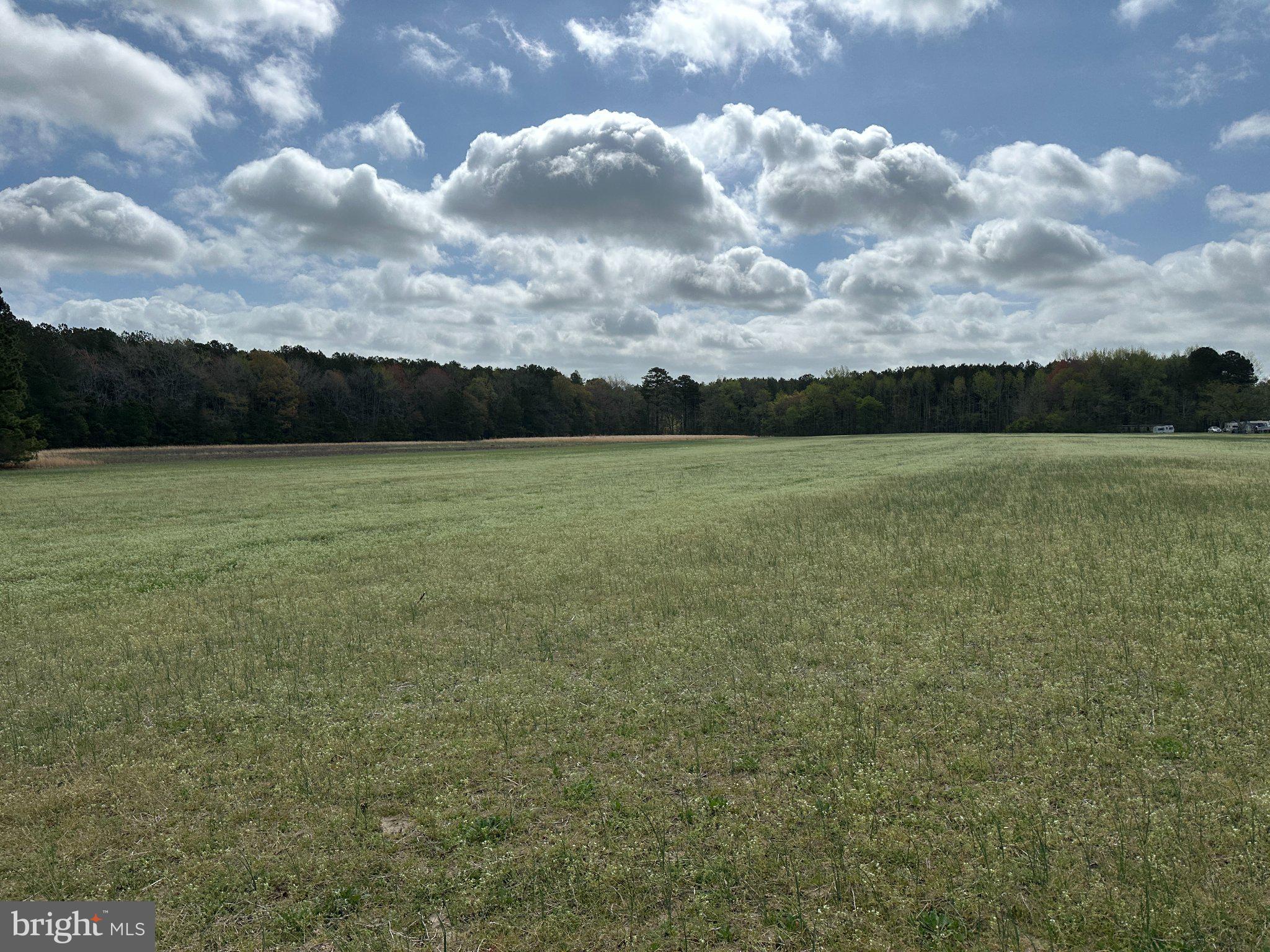 31379 Boggs Road Painter, VA 23420 - Photo 4 of 45 Expansive meadow under cloudy skies.