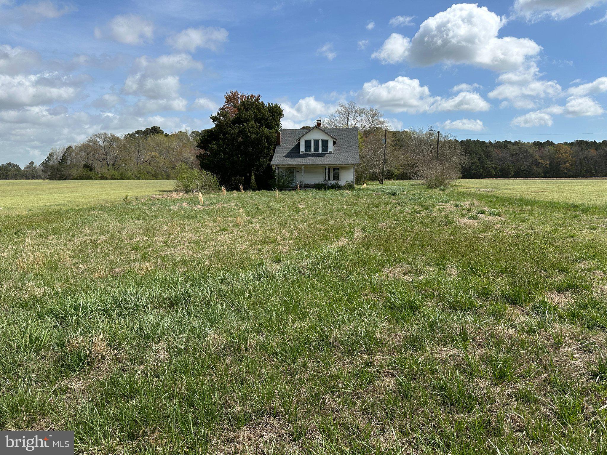 31379 Boggs Road Painter, VA 23420 - Photo 41 of 45 Charming home amidst open fields.