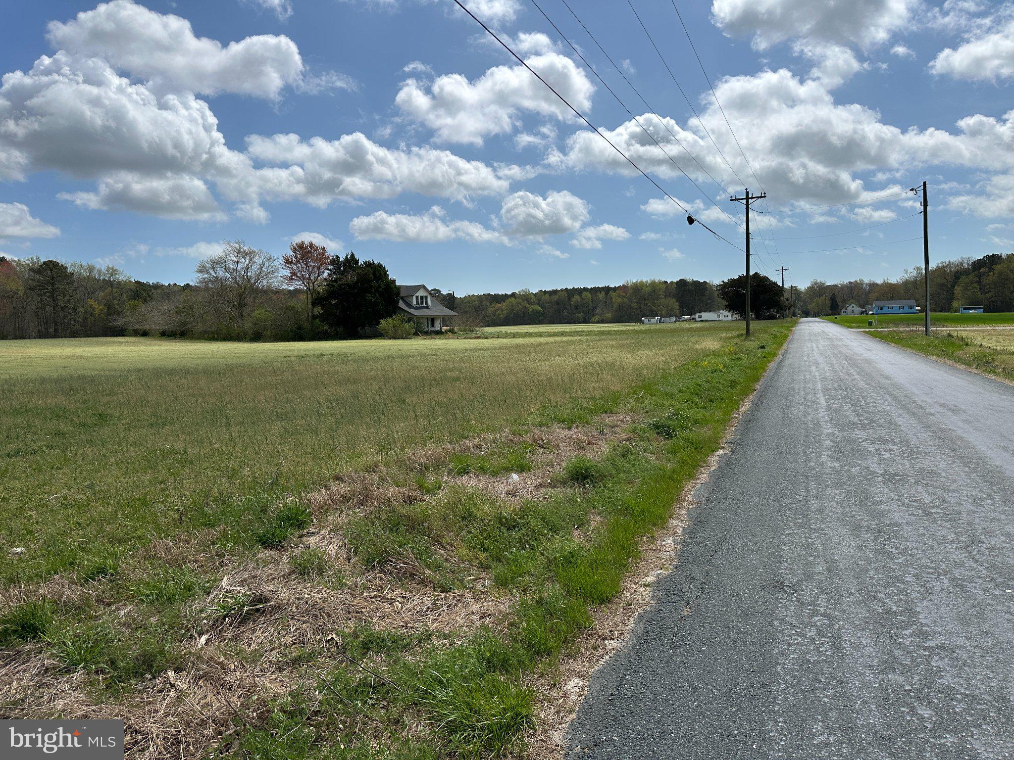 31379 Boggs Road Painter, VA 23420 - Photo 44 of 45 Serene country road under blue skies.