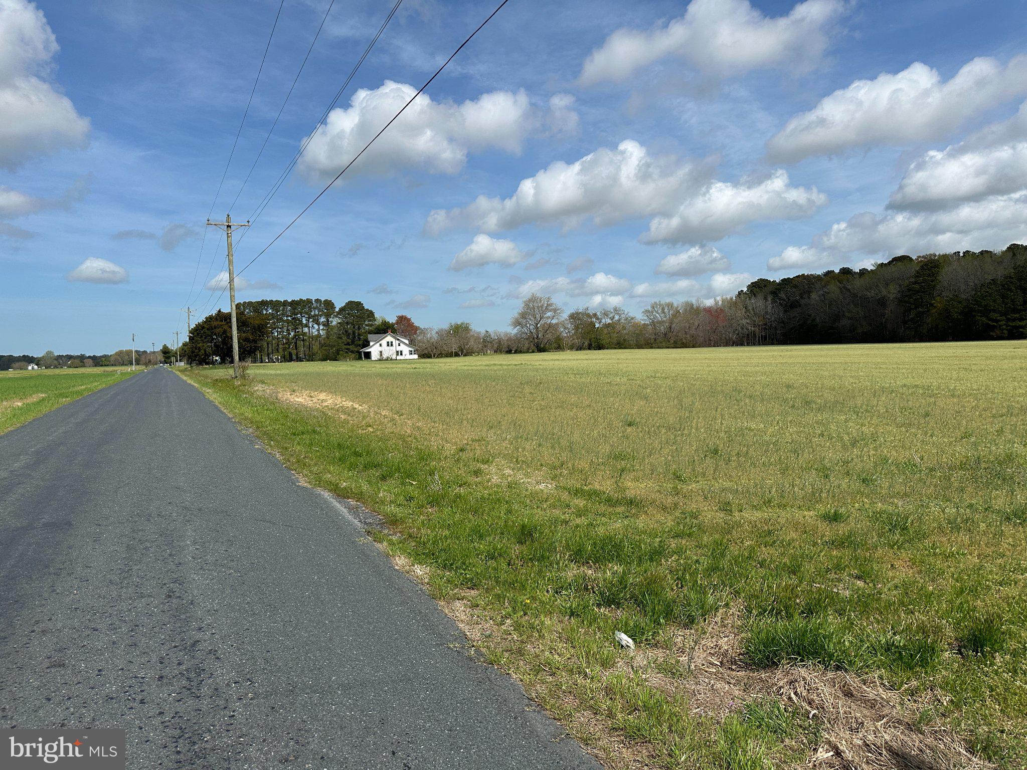 31379 Boggs Road Painter, VA 23420 - Photo 45 of 45 Serene countryside road awaits exploration.