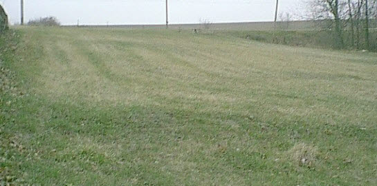1085 Winborne Road Lake Summerset, IL 61019 - Photo 1 of 1 a view of a field with an trees in the background