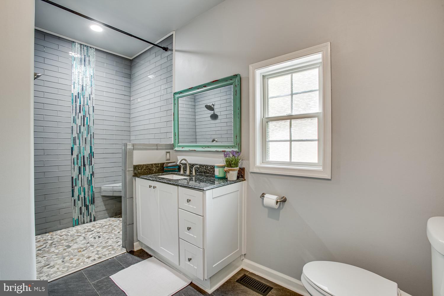218 Cedar Ridge Drive Ruther Glen, VA 22546 - Photo 15 of 30 Primary bathroom, upgraded in 2019!