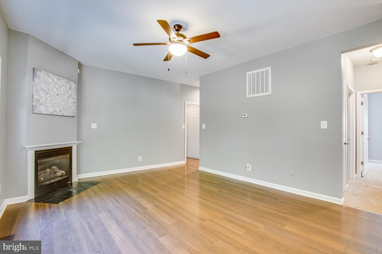 218 Cedar Ridge Drive Ruther Glen, VA 22546 - Photo 5 of 30 Gas fireplace