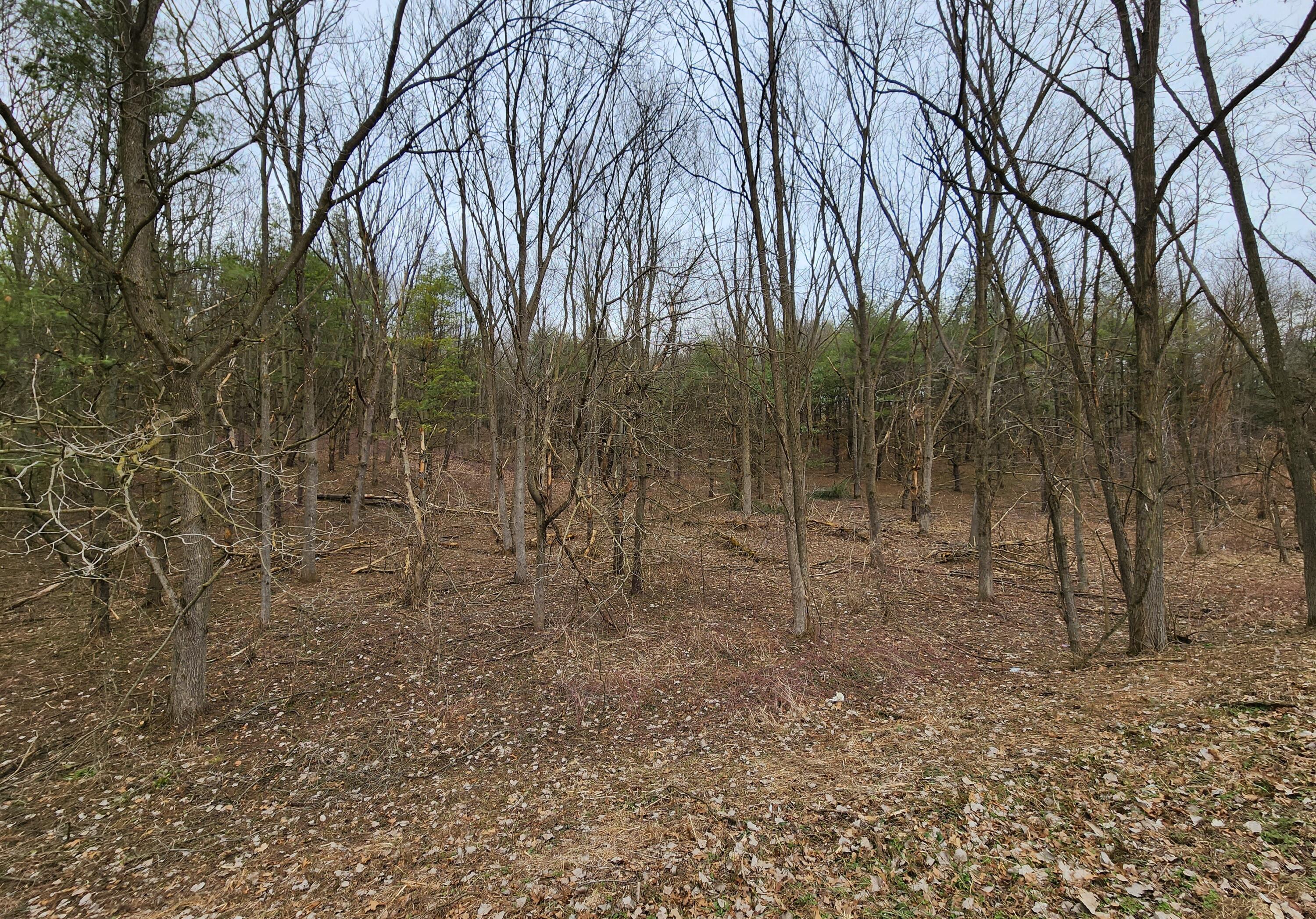 Lot D Hoffman Road Three Rivers, MI 49093 - Photo 3 of 8 Hoffman Road Lot D 2