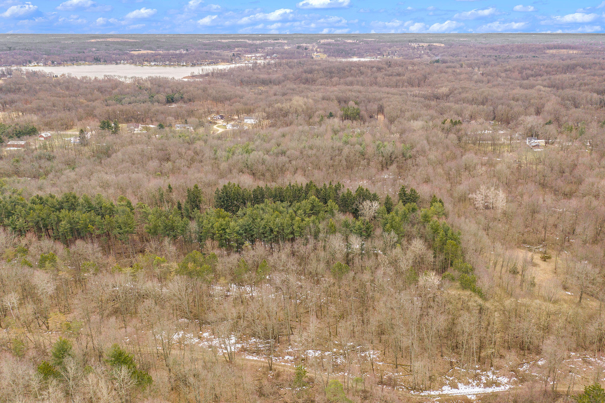 Lot D Hoffman Road Three Rivers, MI 49093 - Photo 5 of 8 DJI_0708