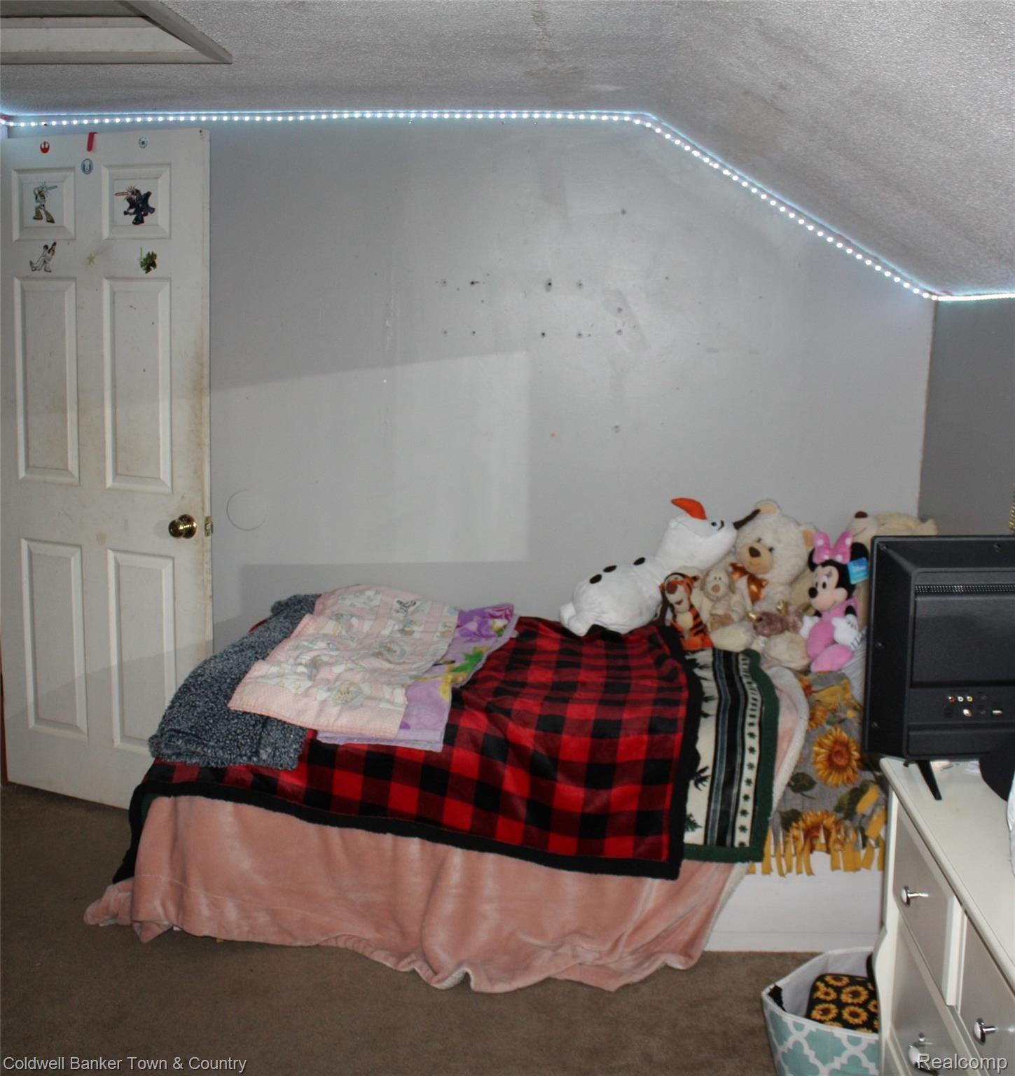 4907 East Howell Road Webberville, MI 48892 - Photo 25 of 29 IMG_1024.JPG