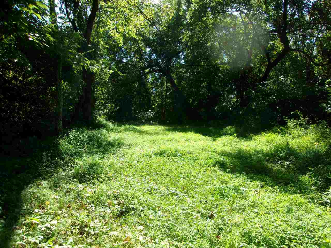 30-acres Dover Road Augusta, KY 41002 - Photo 20 of 50 Gallery Image 20