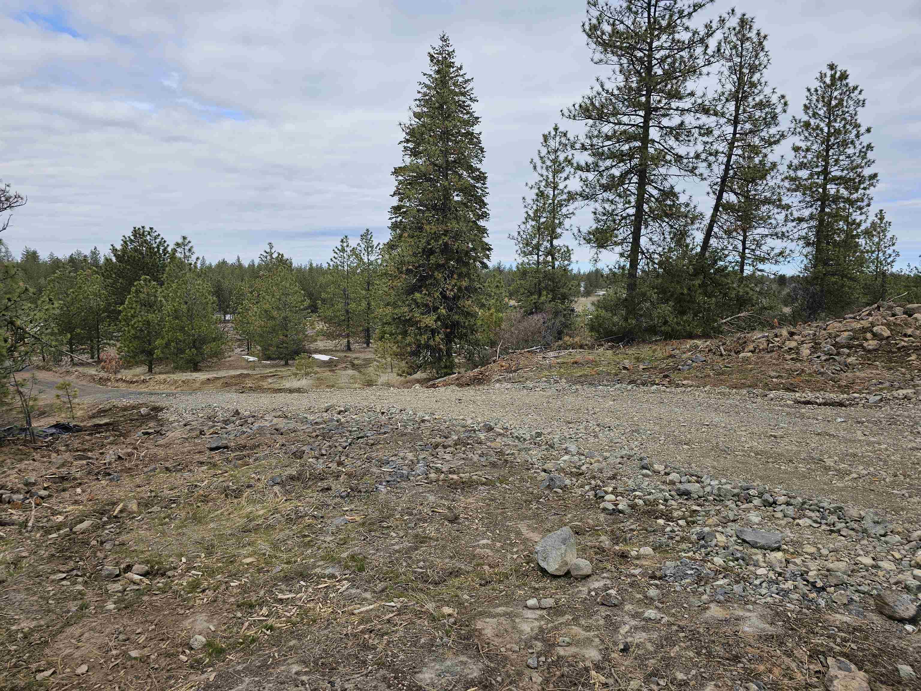 18324 West Burnett Road Nine Mile Falls, WA 99026 - Photo 18 of 34