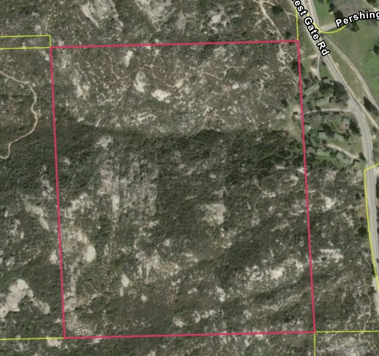 a close up of a tree