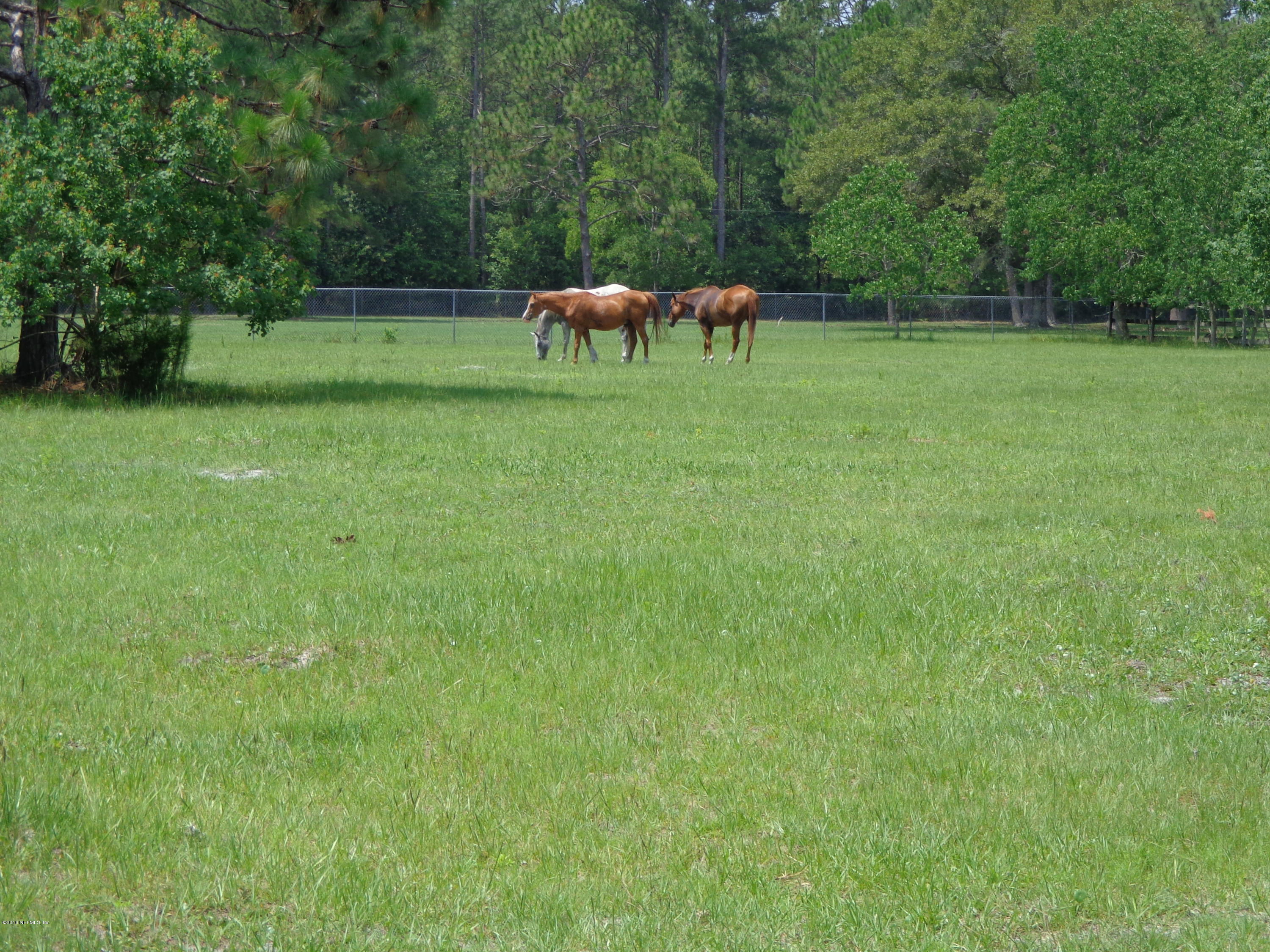 1783 Nolan Road Middleburg, FL 32068 - Photo 1 of 16 DSC00020