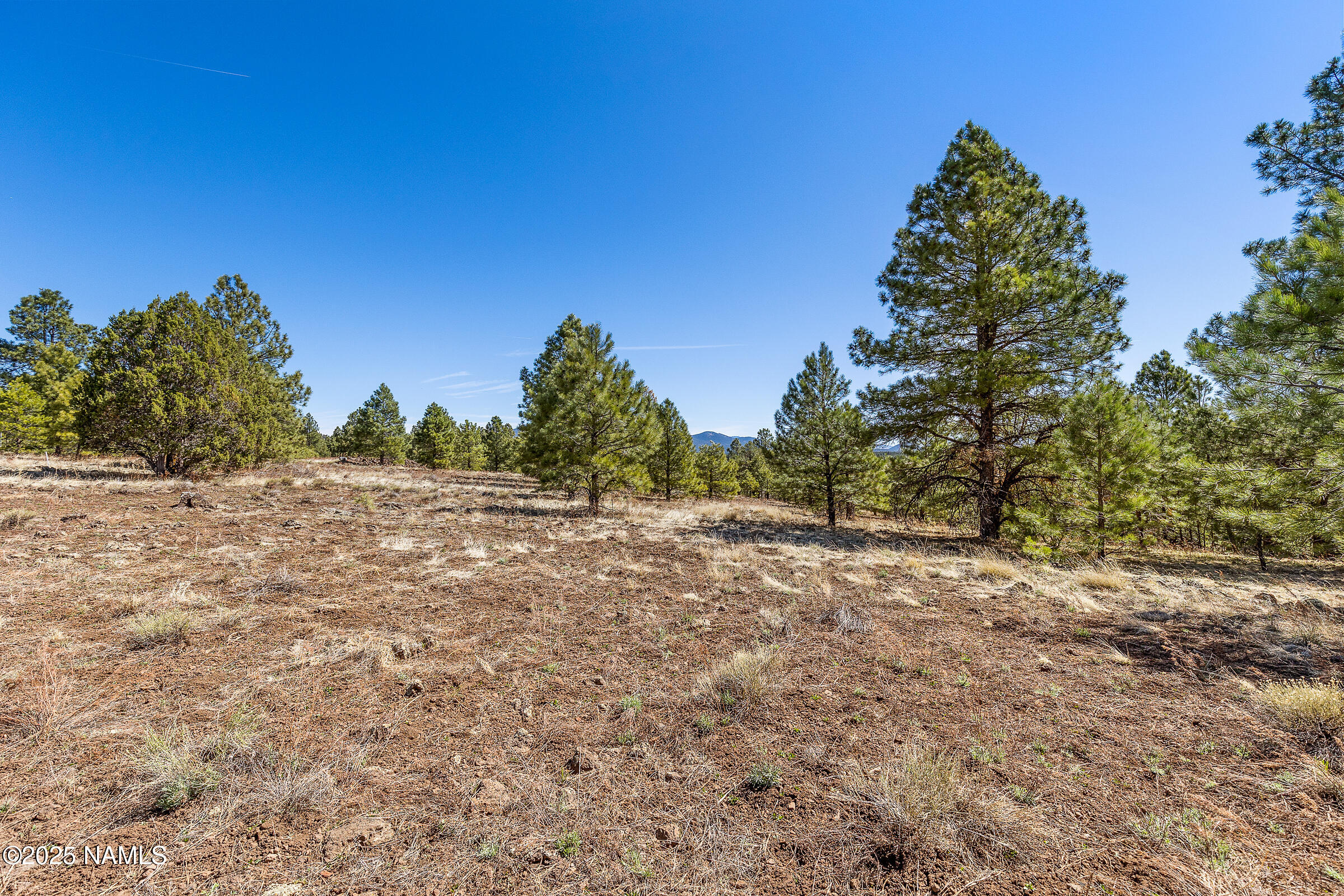 747 North Davenport Lk Road Williams, AZ 86046 - Photo 8 of 24 a backyard of a house with lots of green space