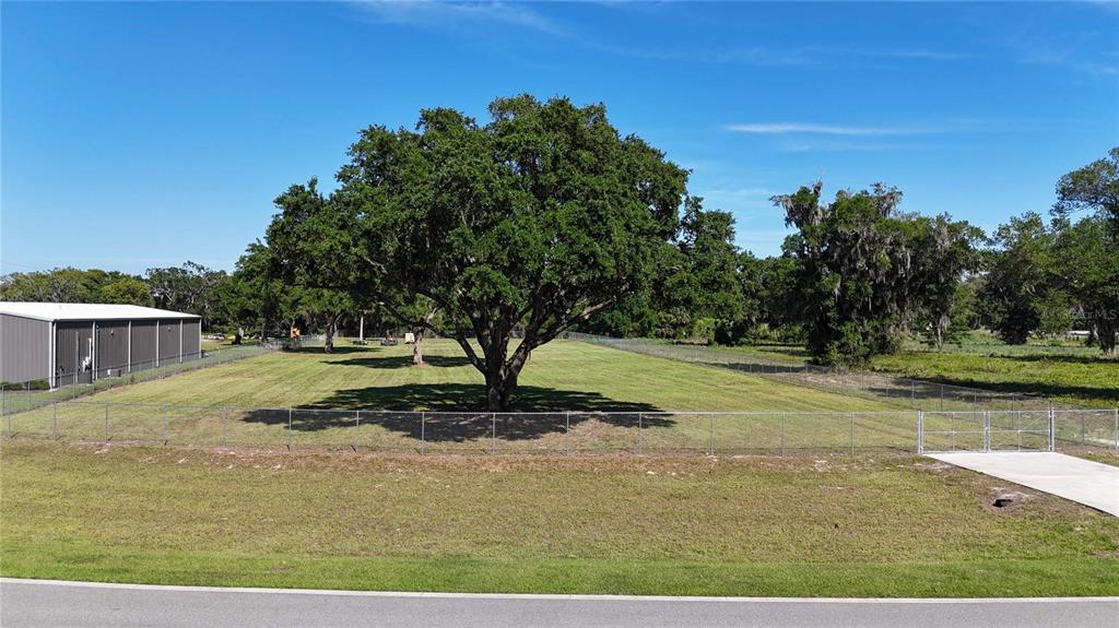 980 Duck Box Road Umatilla, FL 32784 - Photo 3 of 9