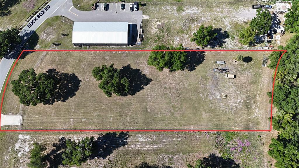 980 Duck Box Road Umatilla, FL 32784 - Photo 8 of 9