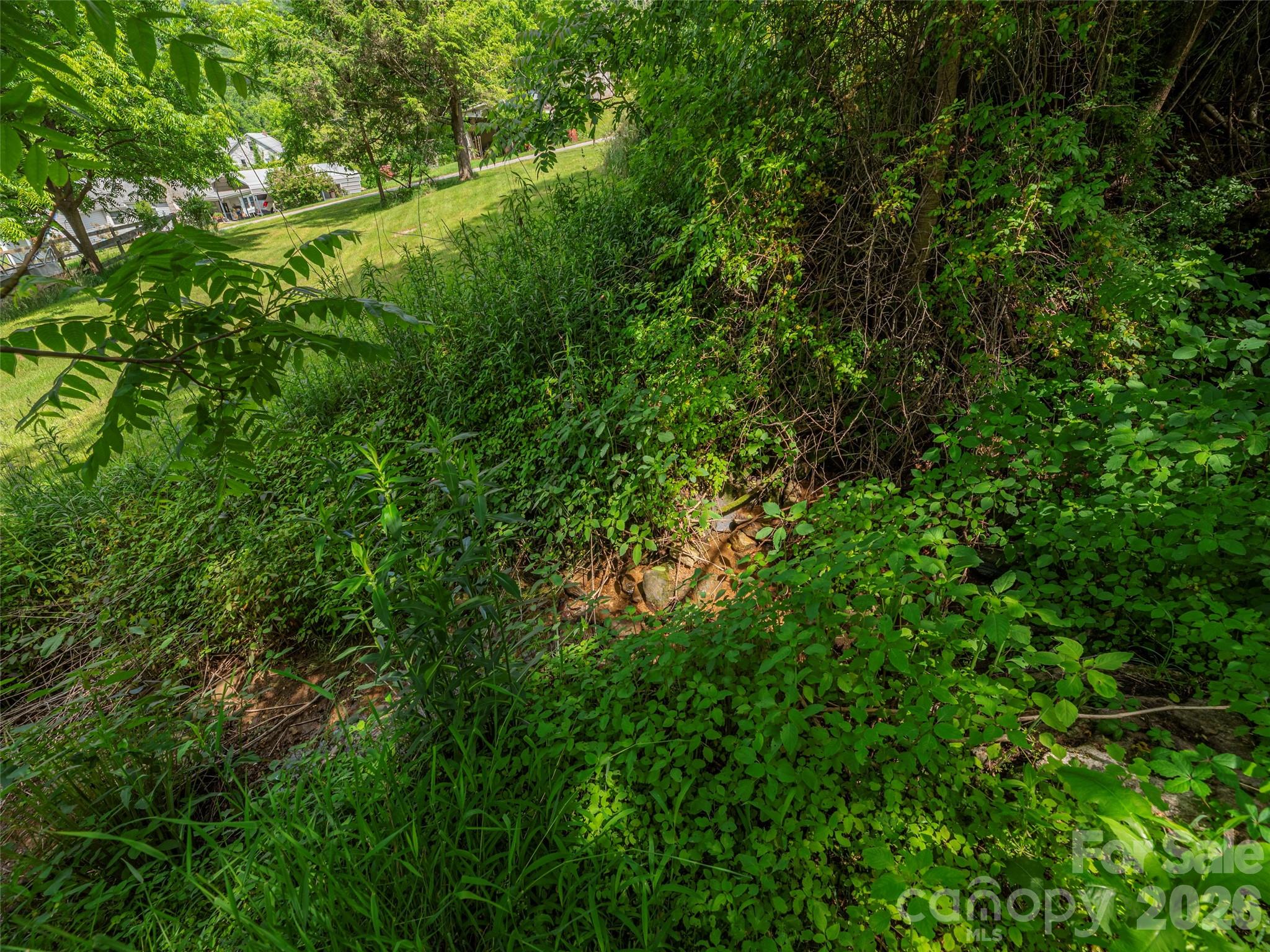 5622 Dutch Cove Road Canton, NC 28716 - Photo 11 of 26