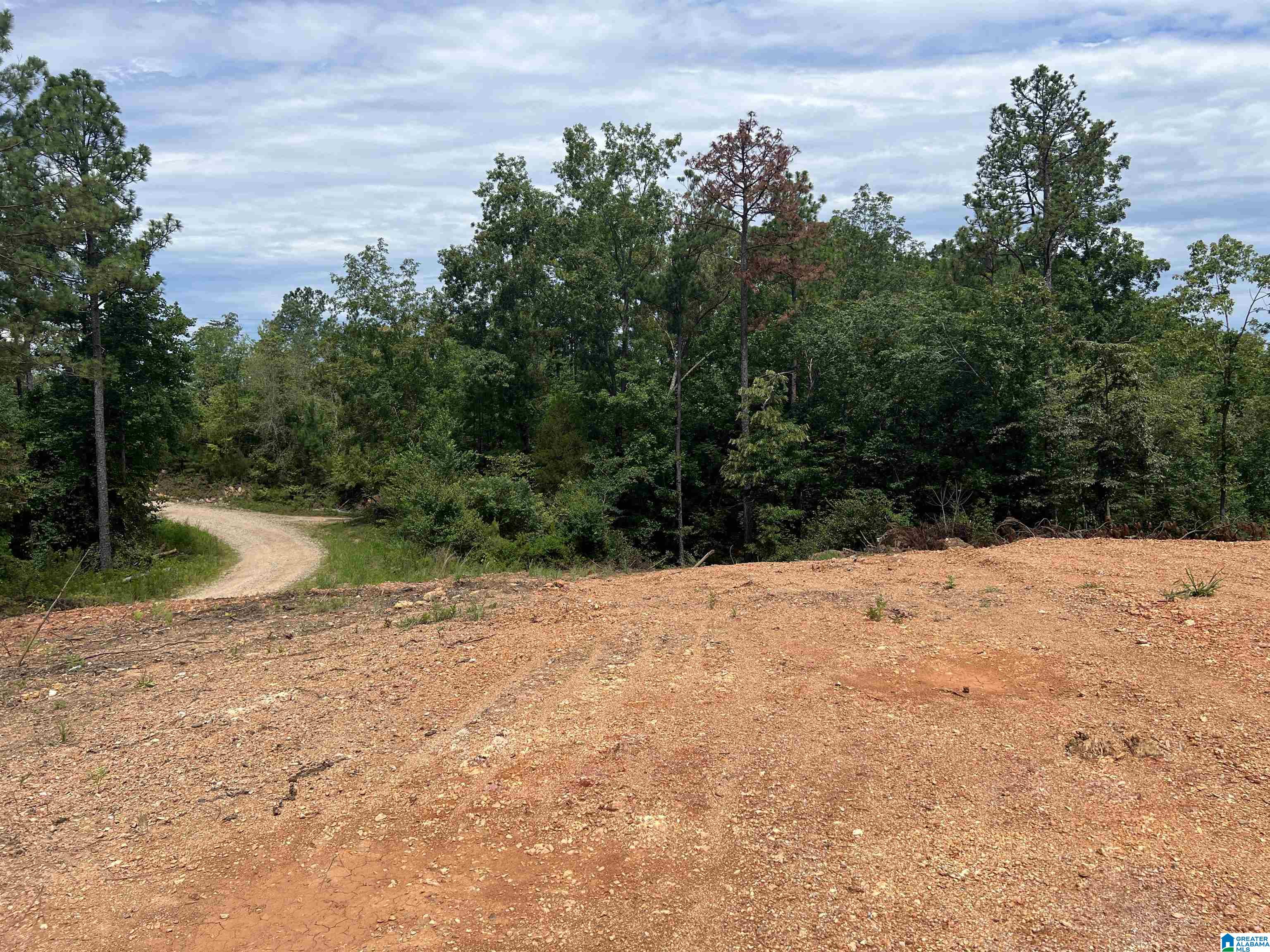 0 County Road 188 Clanton, AL 35046 - Photo 4 of 20