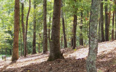 Lot 8 Thunder Road Hayesville, NC 28904 - Photo 1 of 1 Main View