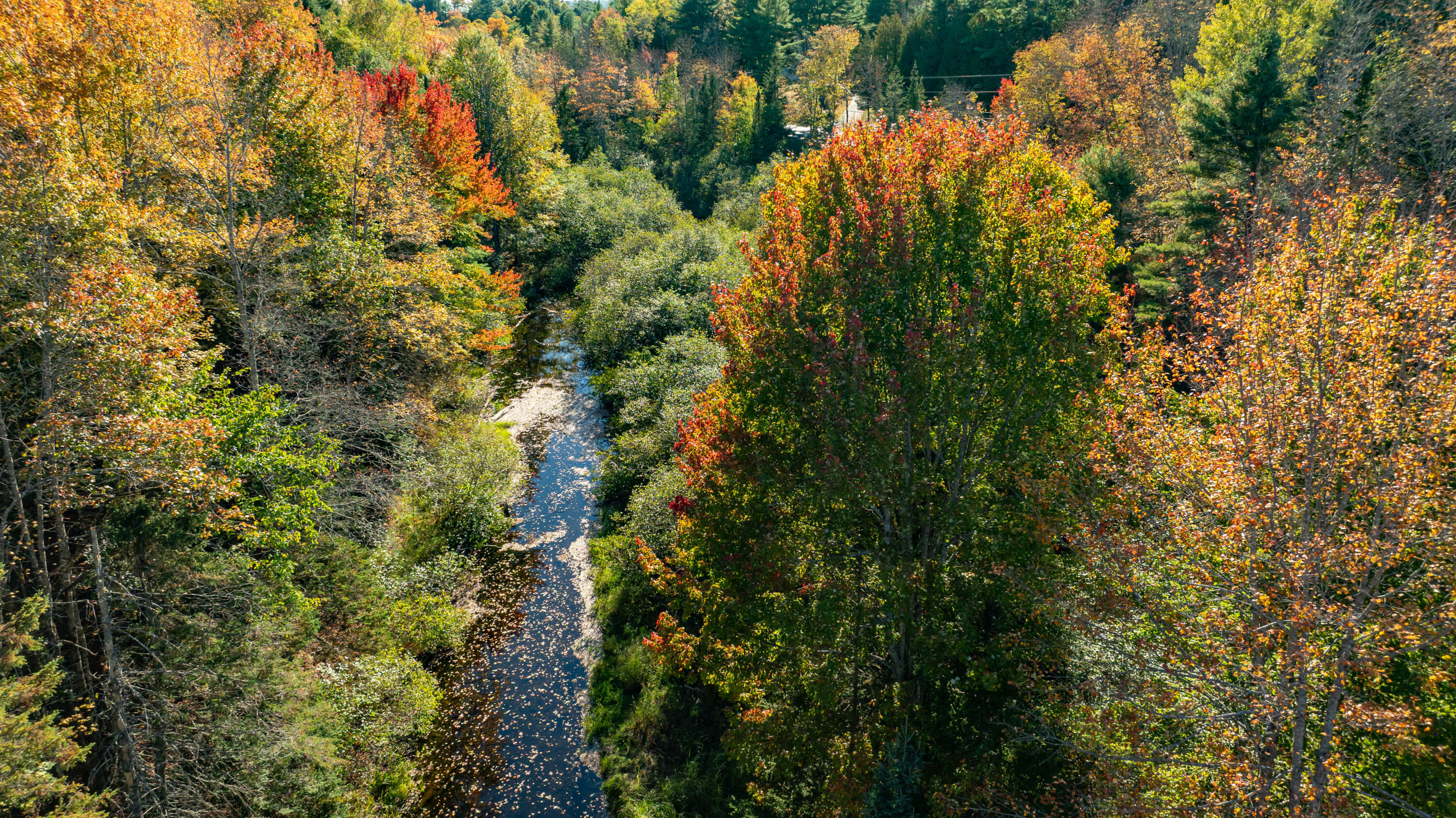 151 Mill Road Dedham, ME 04429 - Photo 33 of 60 dji_fly_20251003_034350_506_175944318102