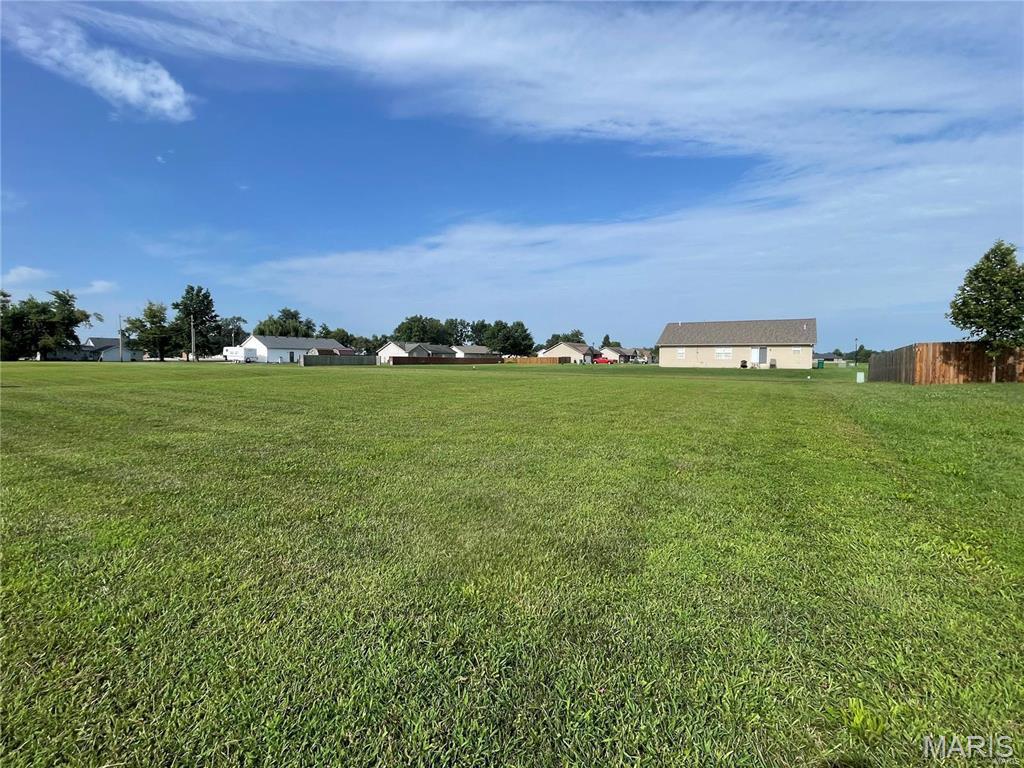 1019 St Peter Avenue St. Libory, IL 62282 - Photo 2 of 9